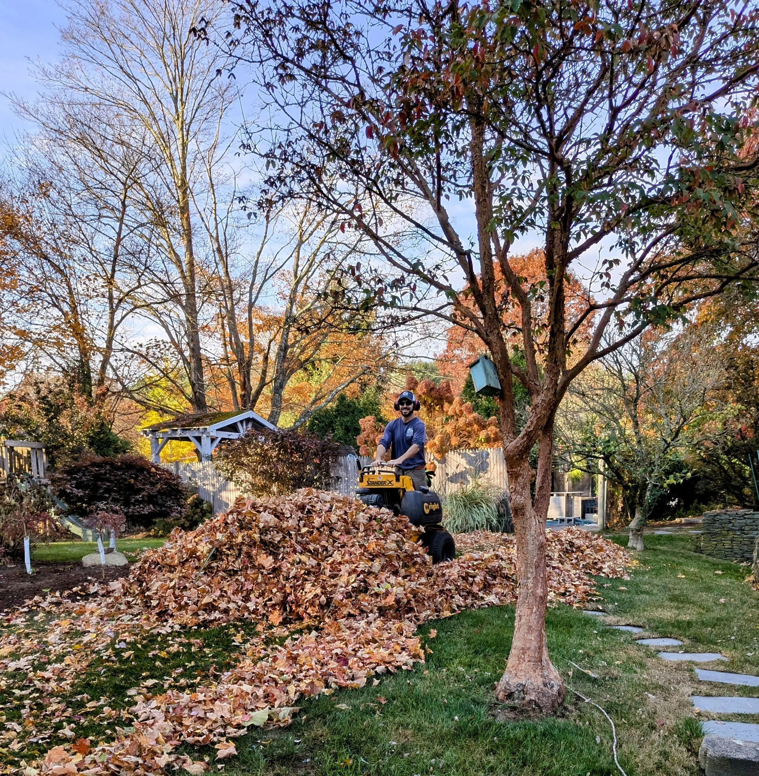 fall clean-up services, fall landscape clean-up, winter plant protection