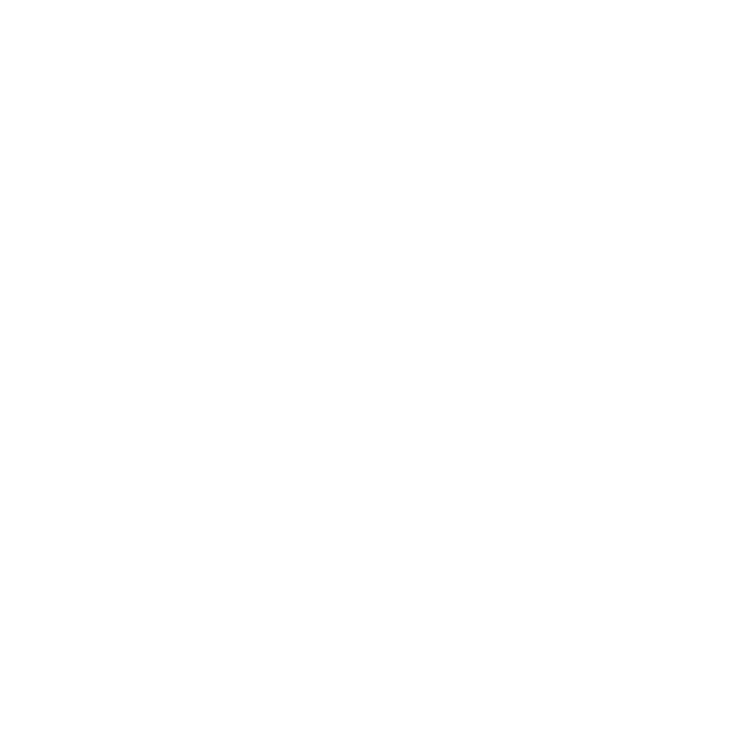 RUDIS 2.png