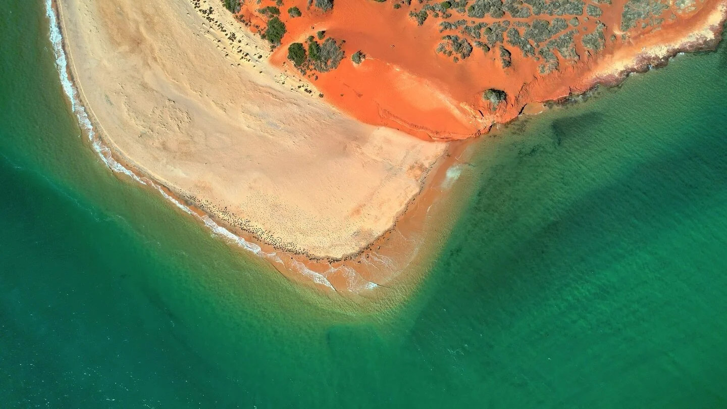 Francois Peron National Park, Shark Bay WA. We&rsquo;ll be spending more time here is 2024 for sure!

#westernaustralia #westernaustraliauncovered #travel #travelaustralia #travelphotography #photography #lapofaustralia #lapofaus #lapofoz #nomad #nom