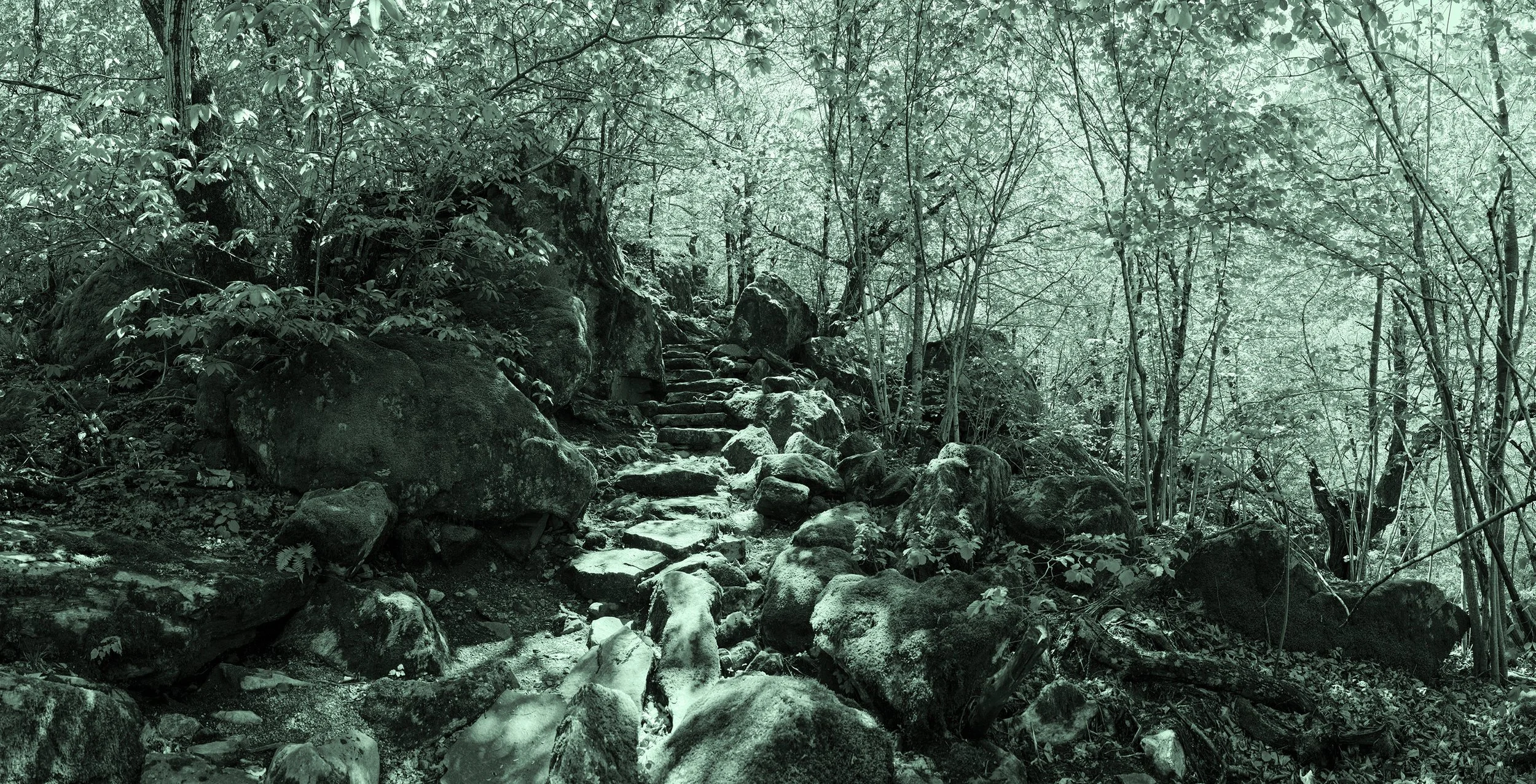 016 – Path of the Ancients Monochrome Edition – Green Cyan Tone