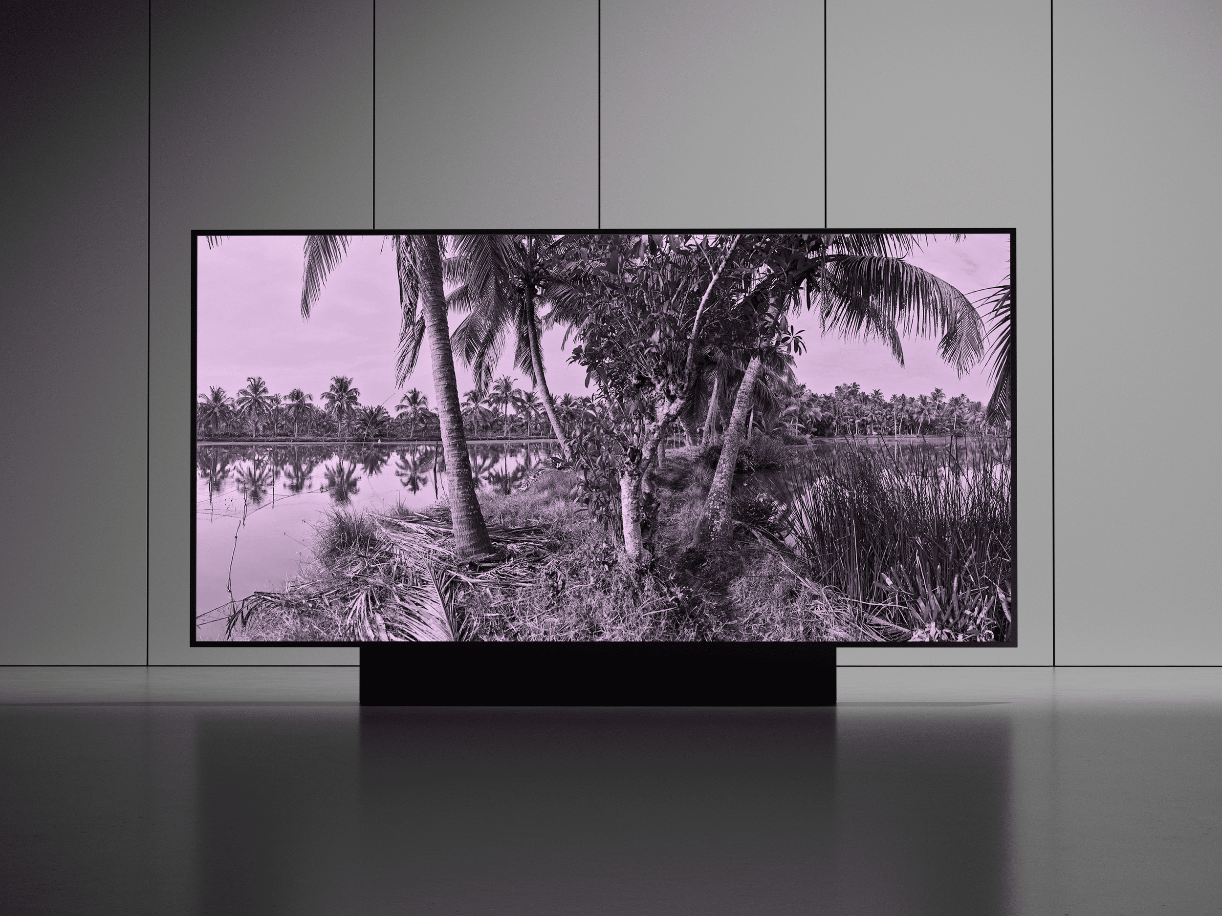 020 - Reflected Paradise2.png