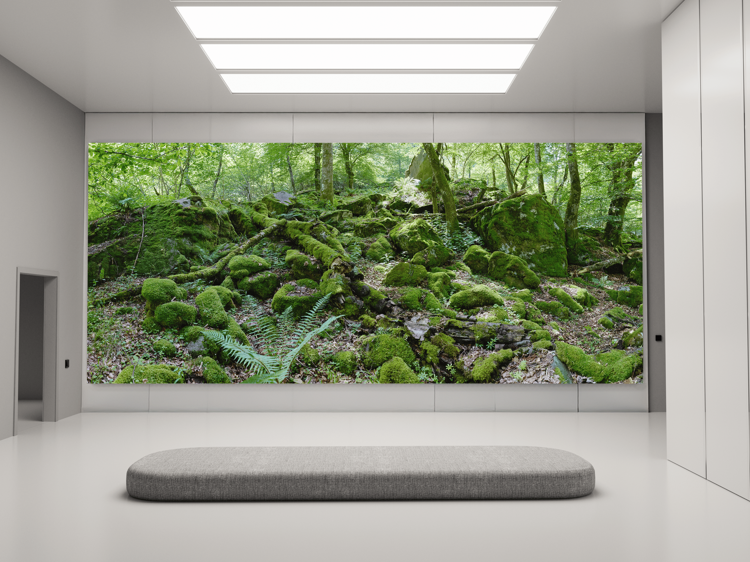 025 - Moss  Memory4.png