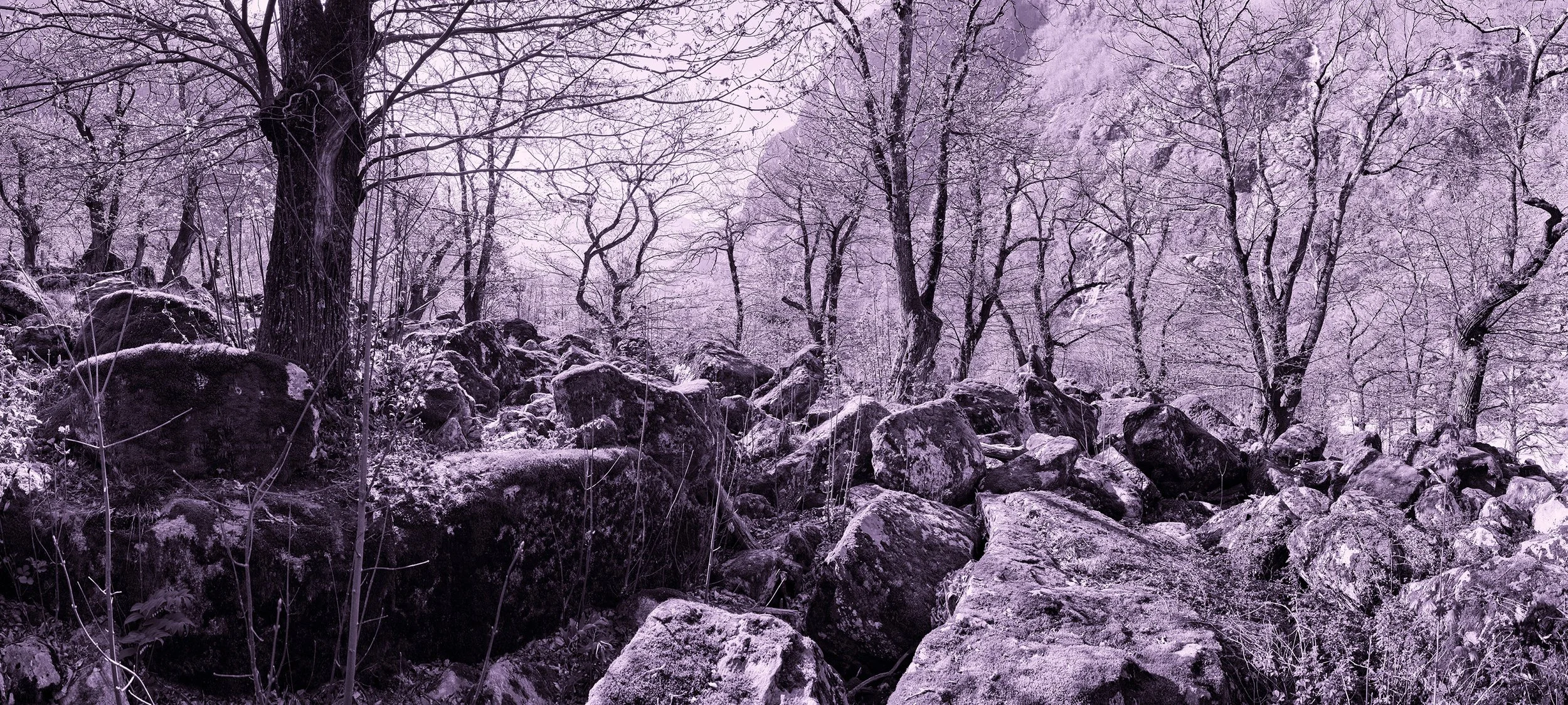 018 - Presence.jpg