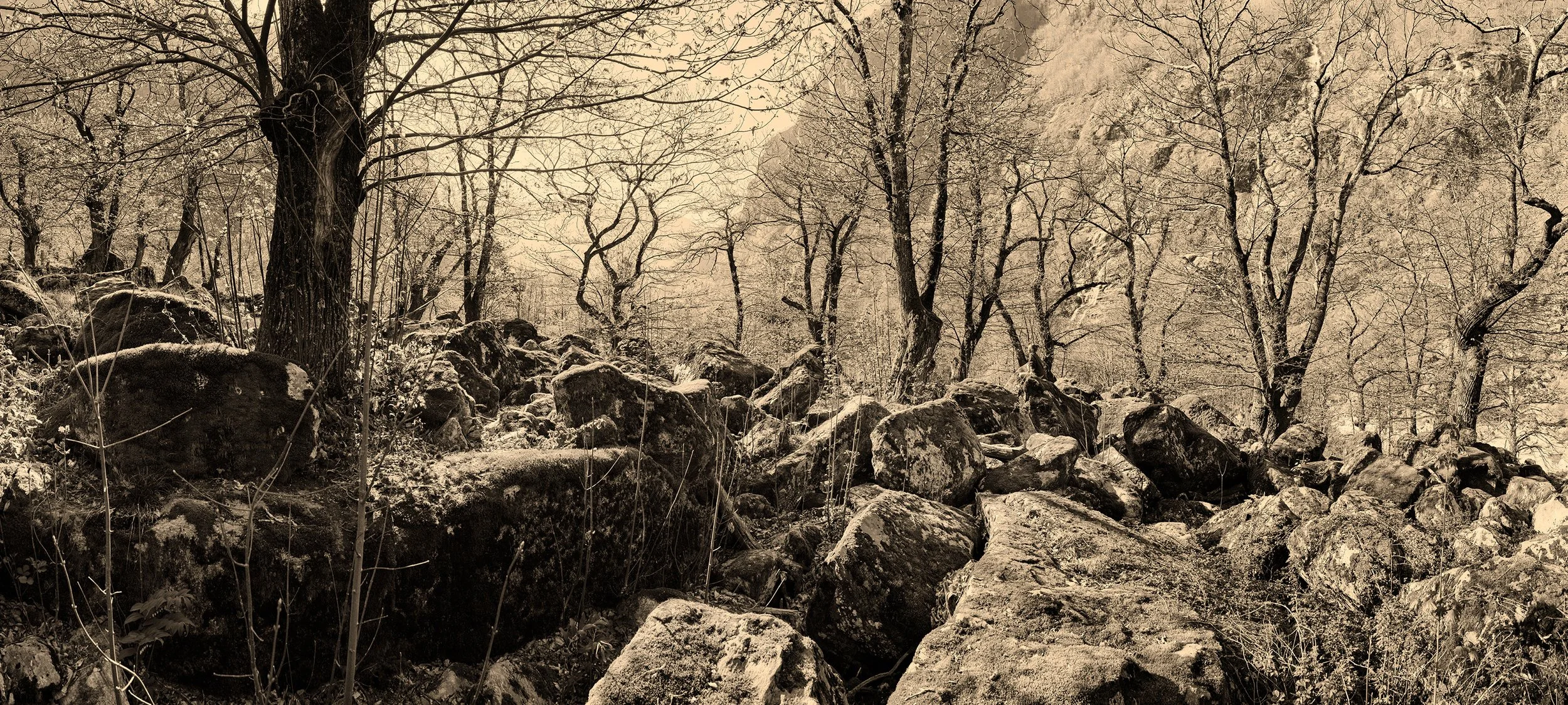 038 – Presence (Warm Golden Sepia)