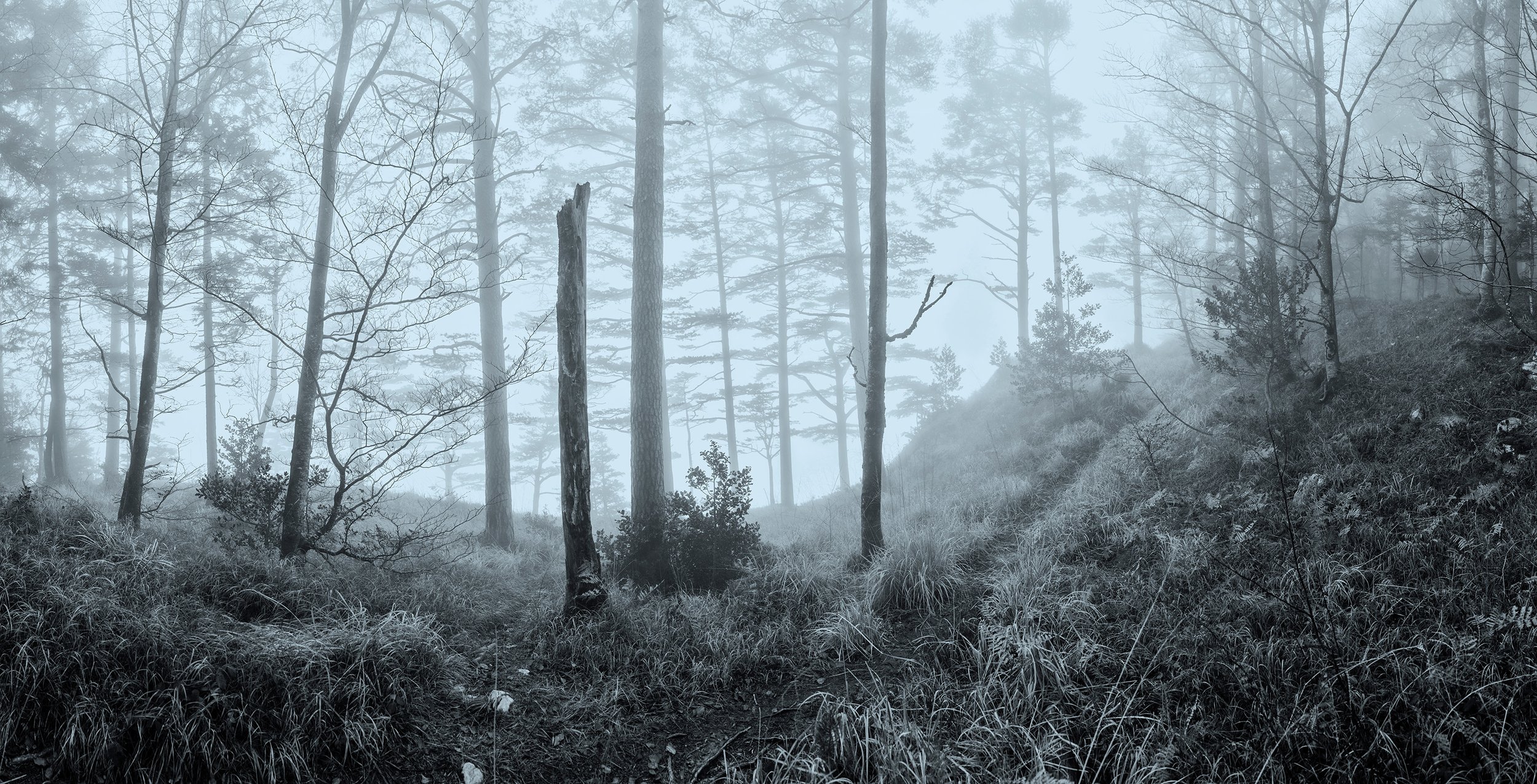 030 – Silent Path (Bluish-Grey)