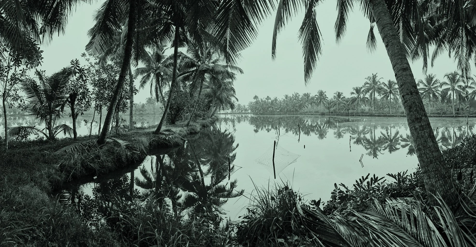 008 – Tropic Mirror
