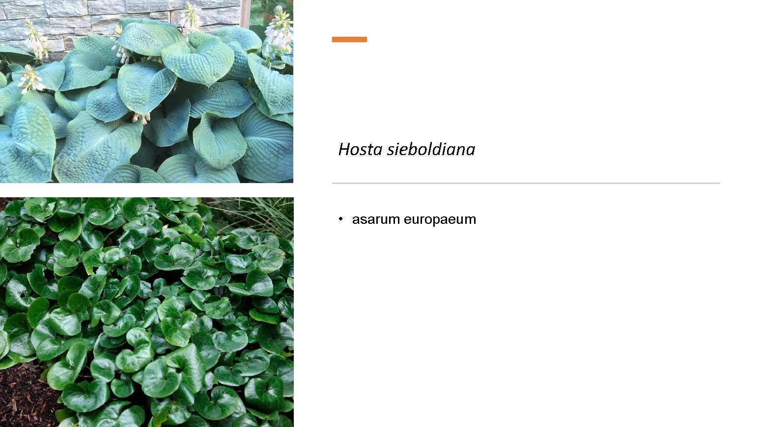 Planting_Page_6.jpg