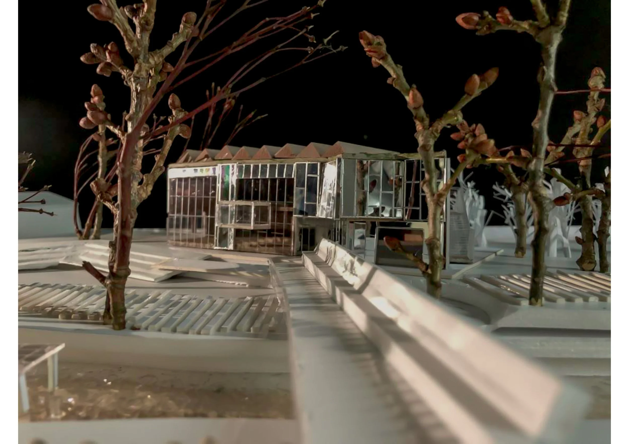 GALLERY 3.jpg