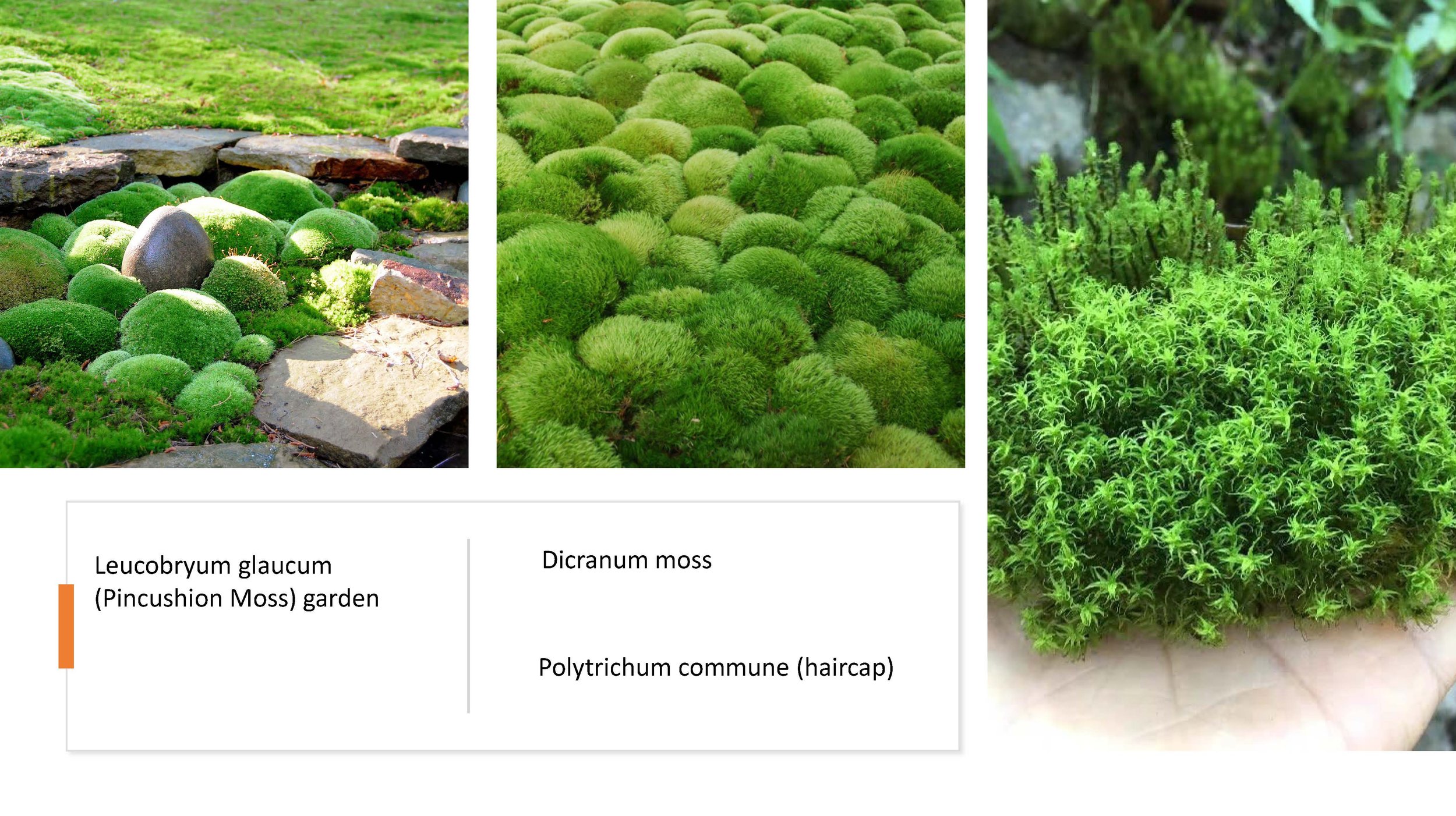 Planting_Page_5.jpg