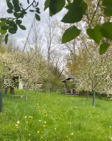 Kräuterwanderung Retreat