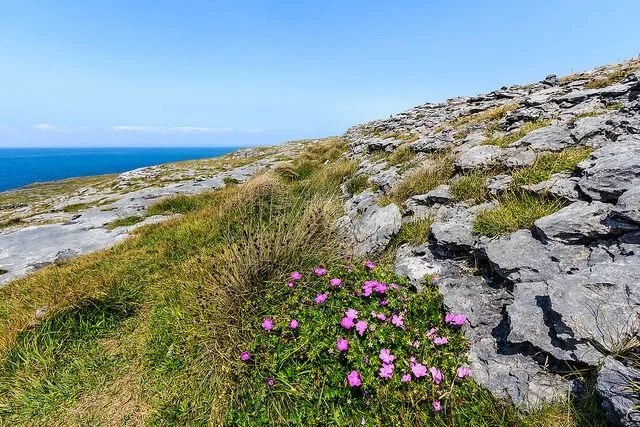 Why the Burren Is One of Ireland’s Most Memorable Scenic Stops