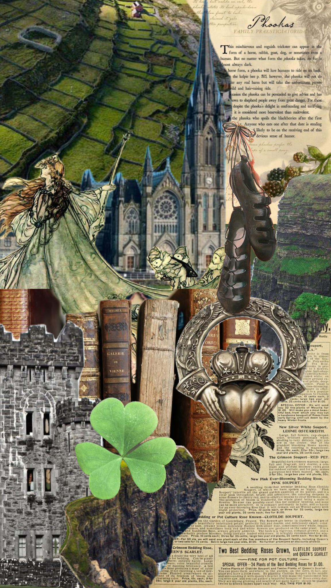 Discovering Ireland Through Place Names and Local Stories