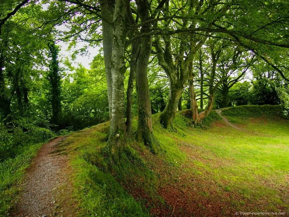 Fairy Forts, Folklore and the Landscapes of Irish Imagination