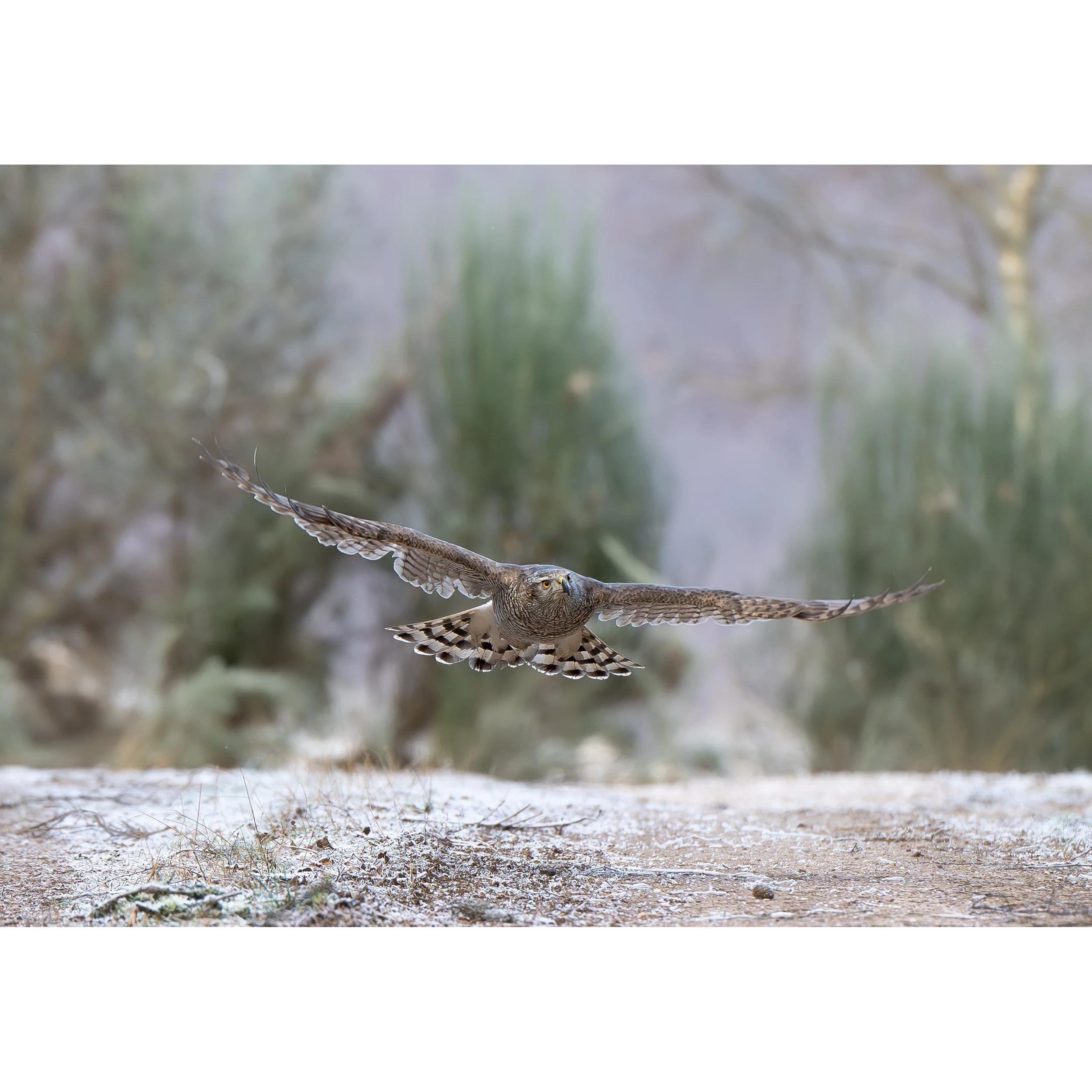0Z9_7387-Enhanced-NR-Edit.jpg