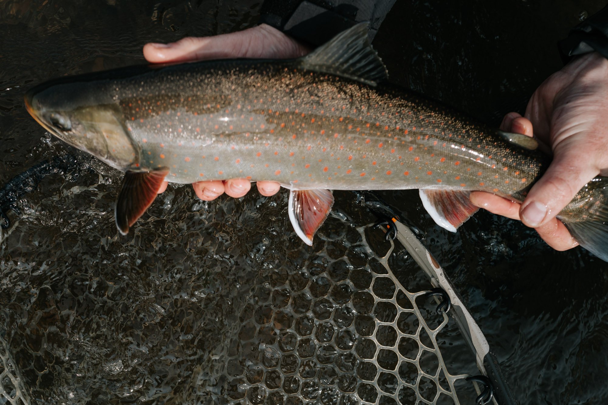 250615_CrystalCreekOrvis-55 copy.jpg