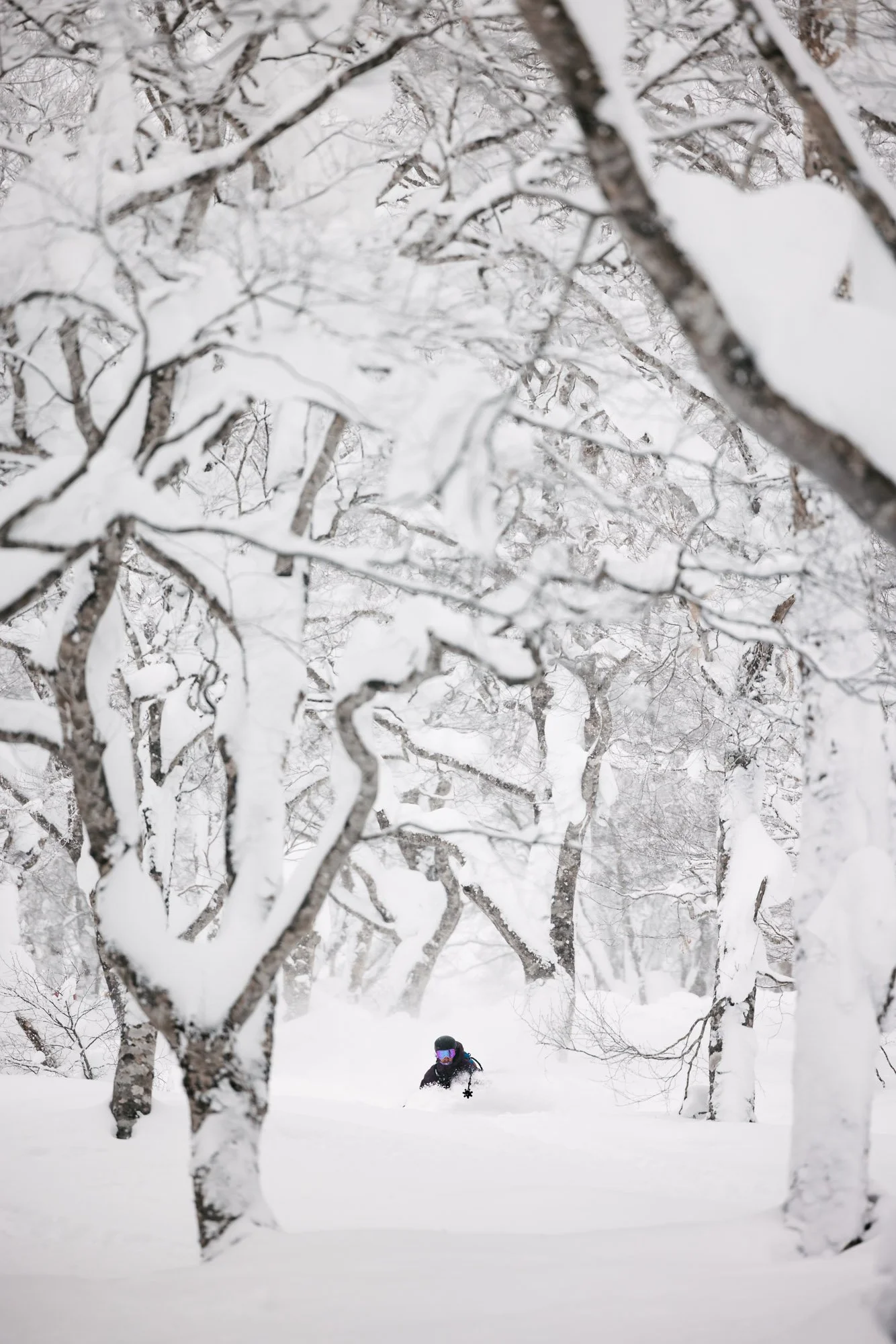 250209_StioJapan-60.jpg