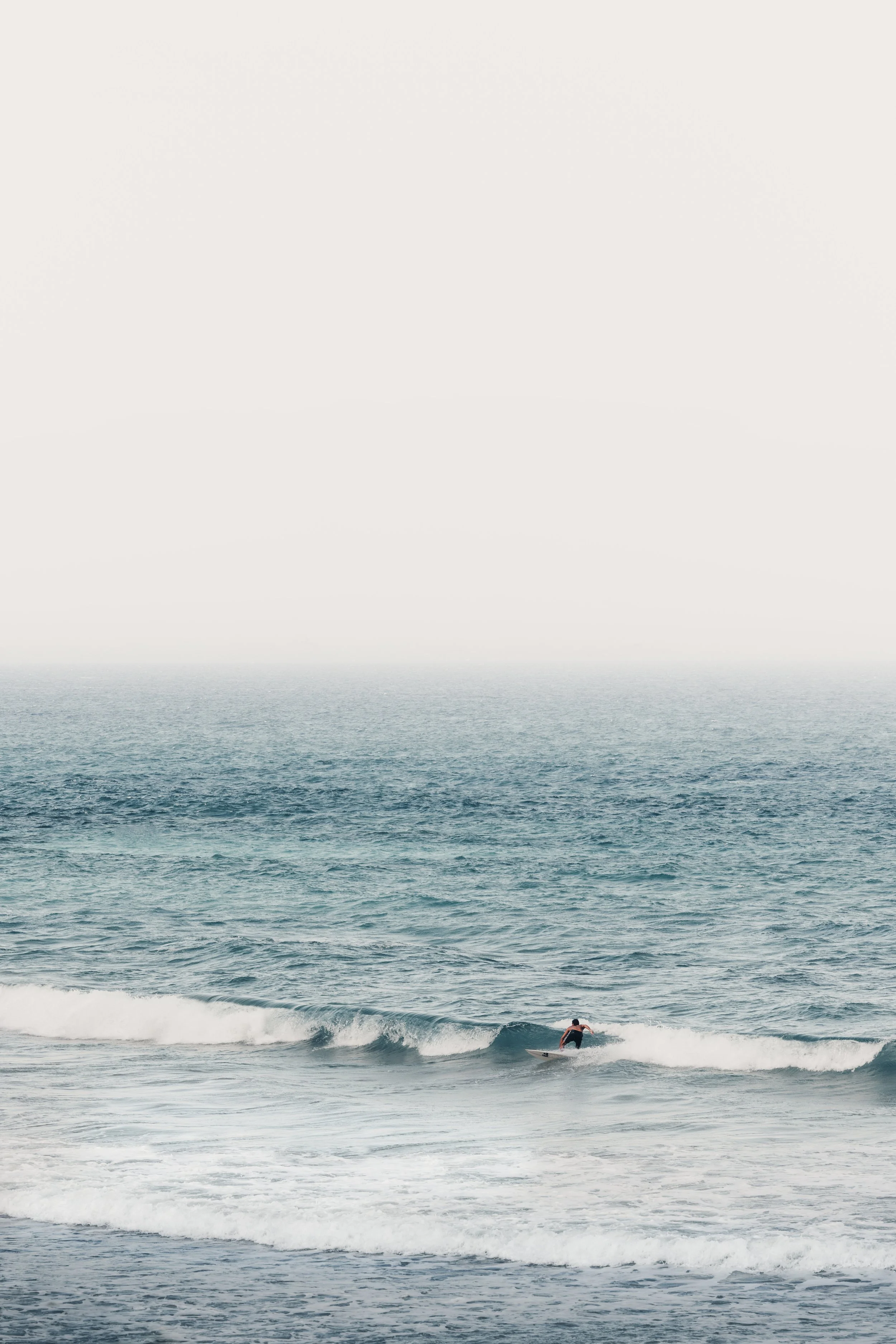 241130_Hawaii-14.jpg