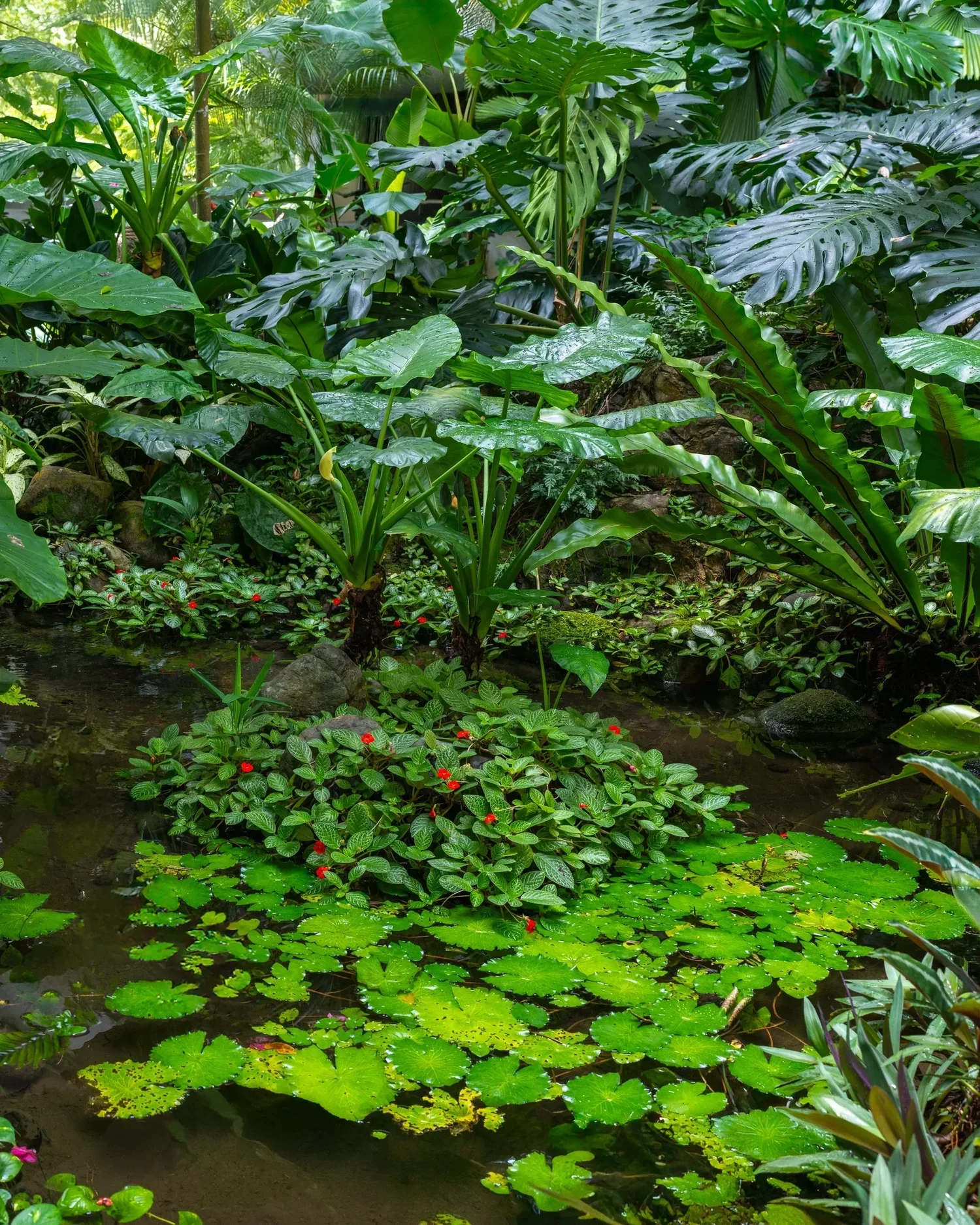 Shangri-La+Singapore-25.webp
