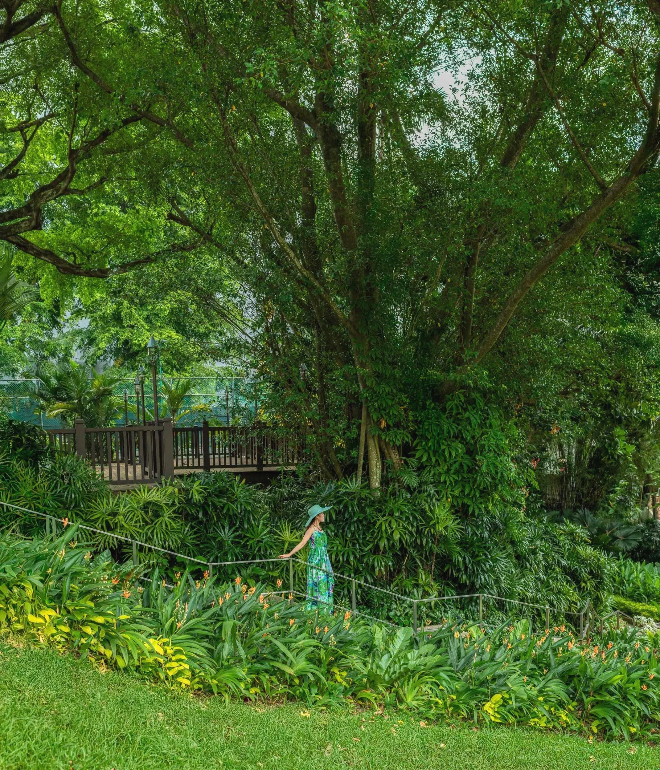 Shangri-La%2BSingapore-17.webp