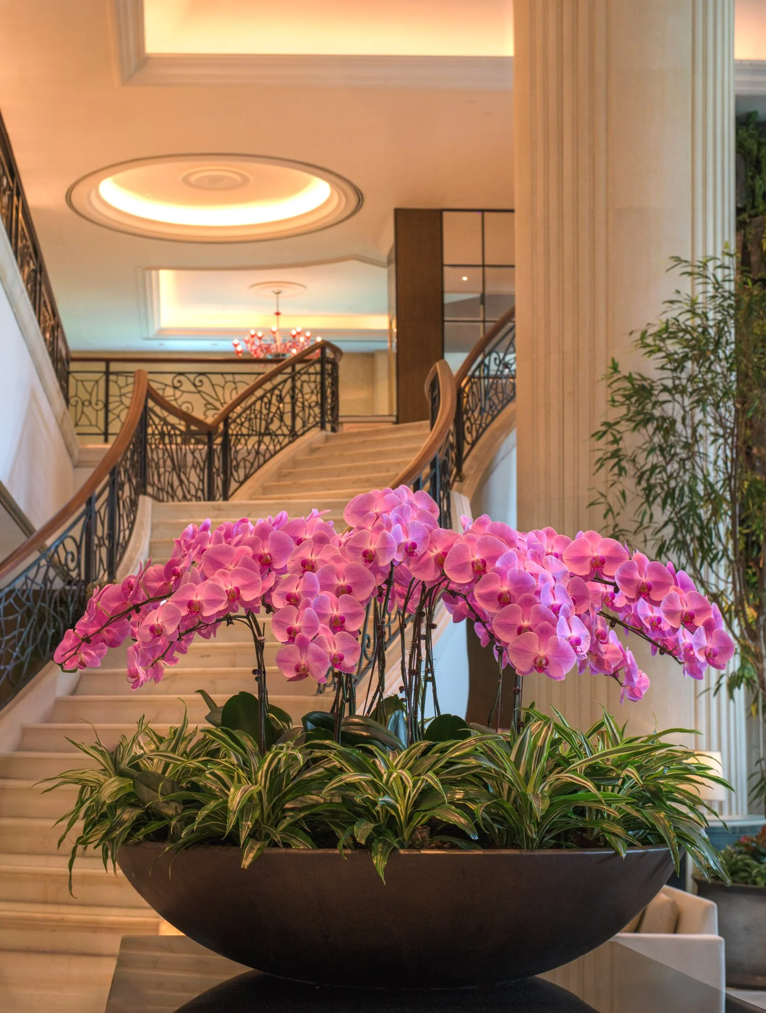 Shangri-La Singapore luxury travel-22.jpg