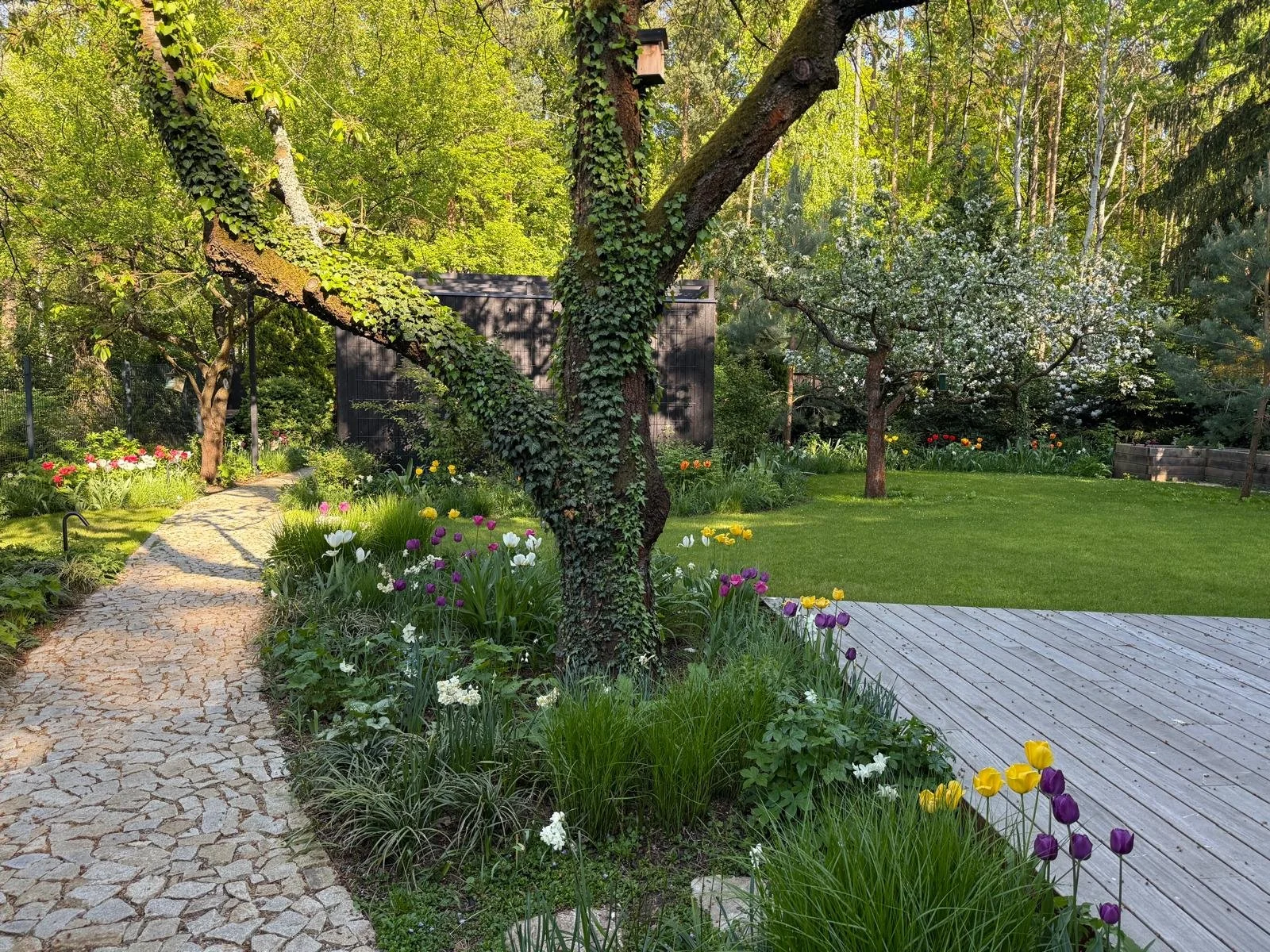 WhatsApp Image 2025-05-05 at 15.57.28.jpeg