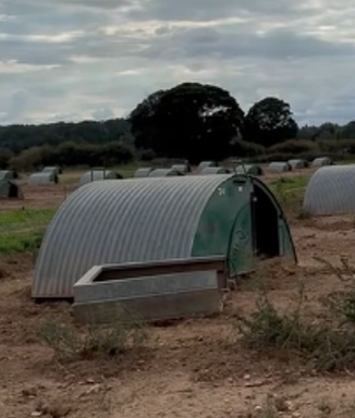 Insulated Farowing Huts And Fenders