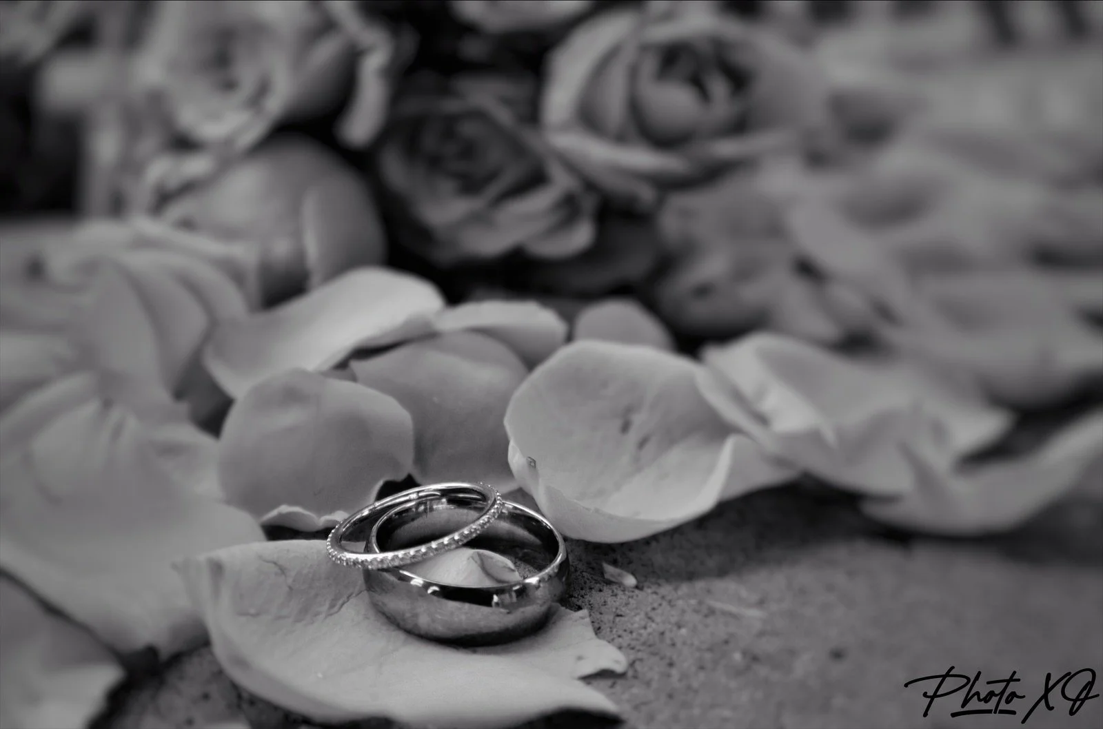 eZy Watermark_01-04-2024_08-43-05-5000PM.jpeg