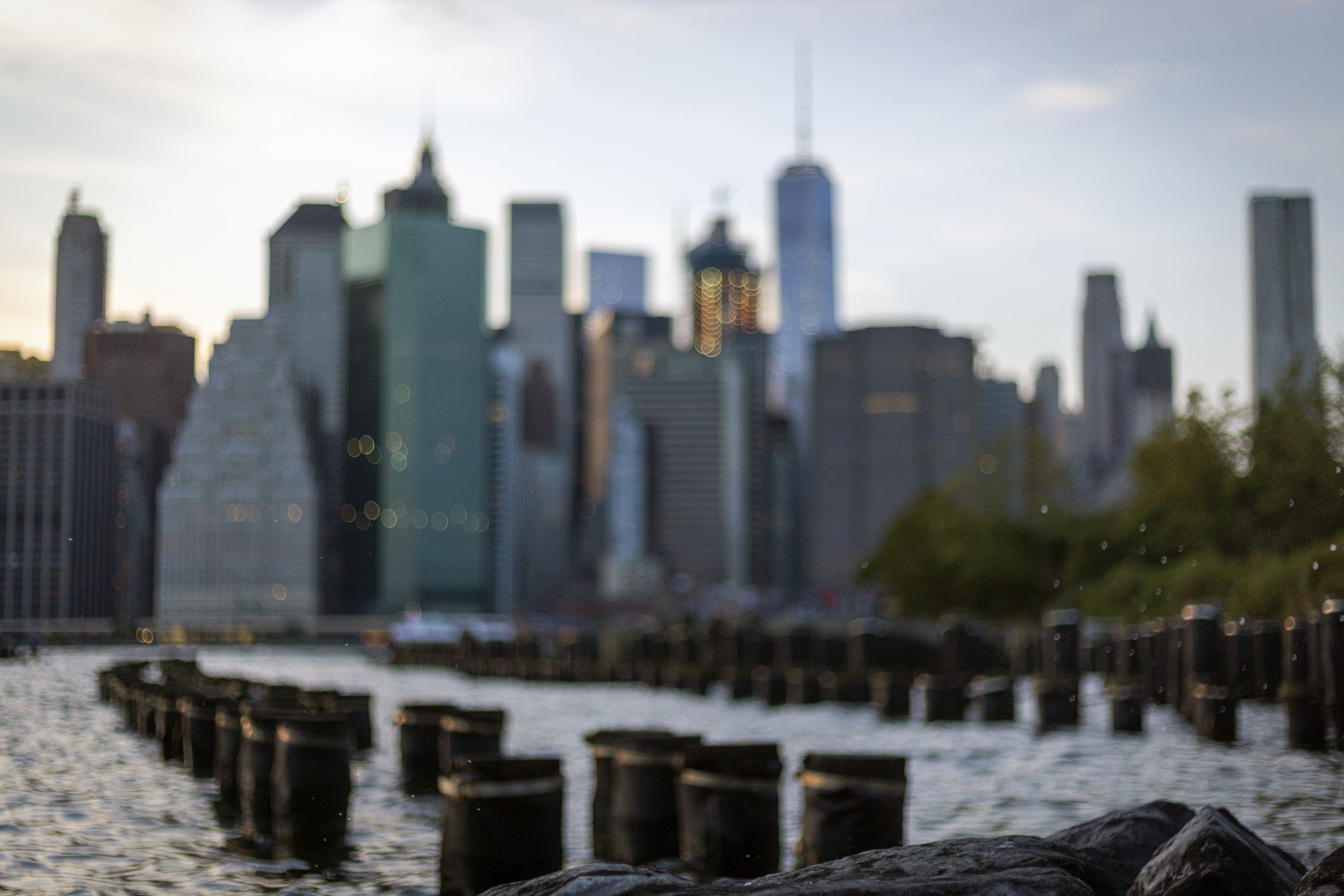 📍: Brooklyn Bridge Park Pier 1