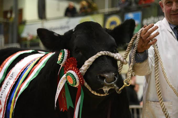 RWS Winter Fair