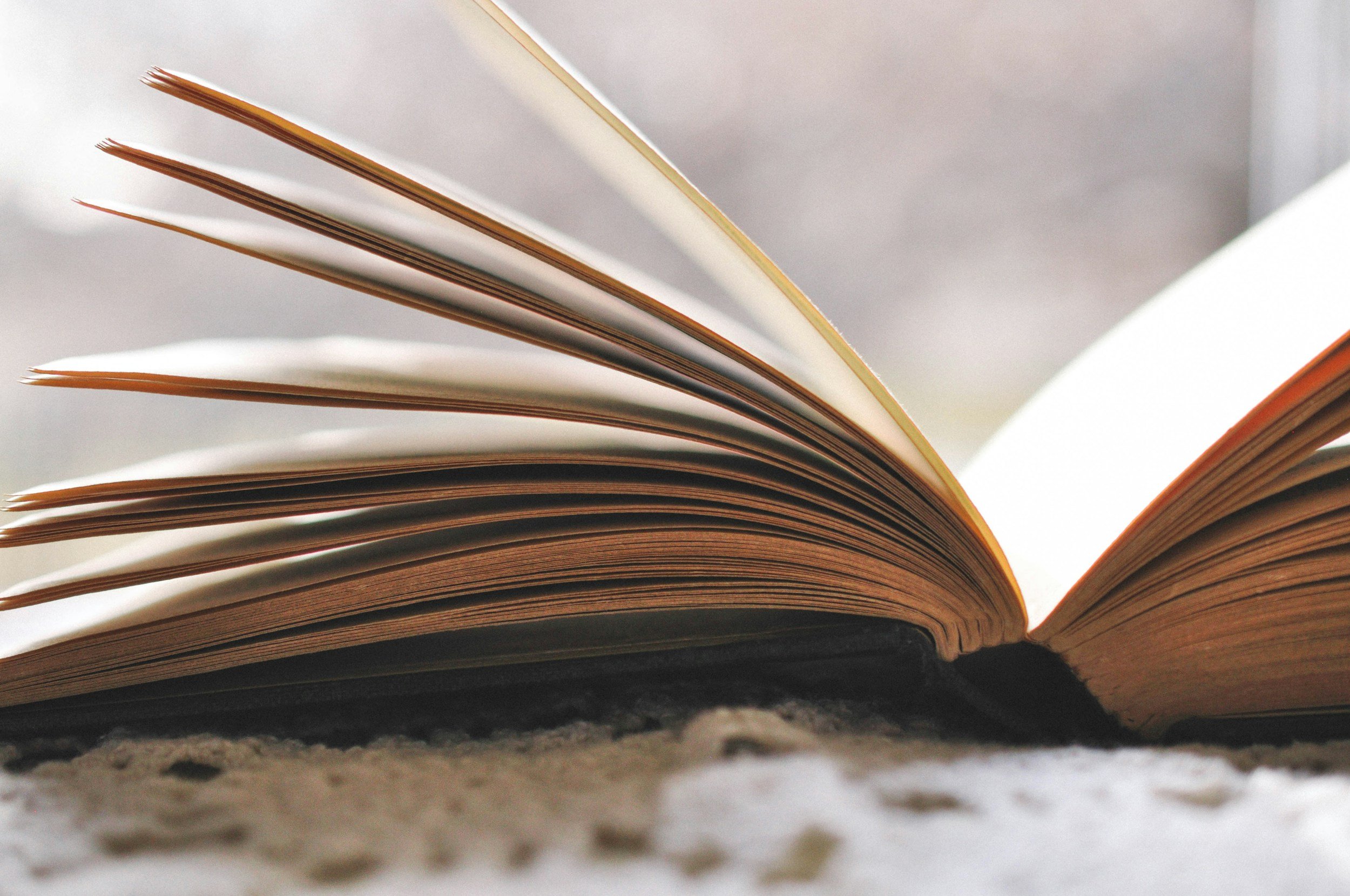 Buried in a Book