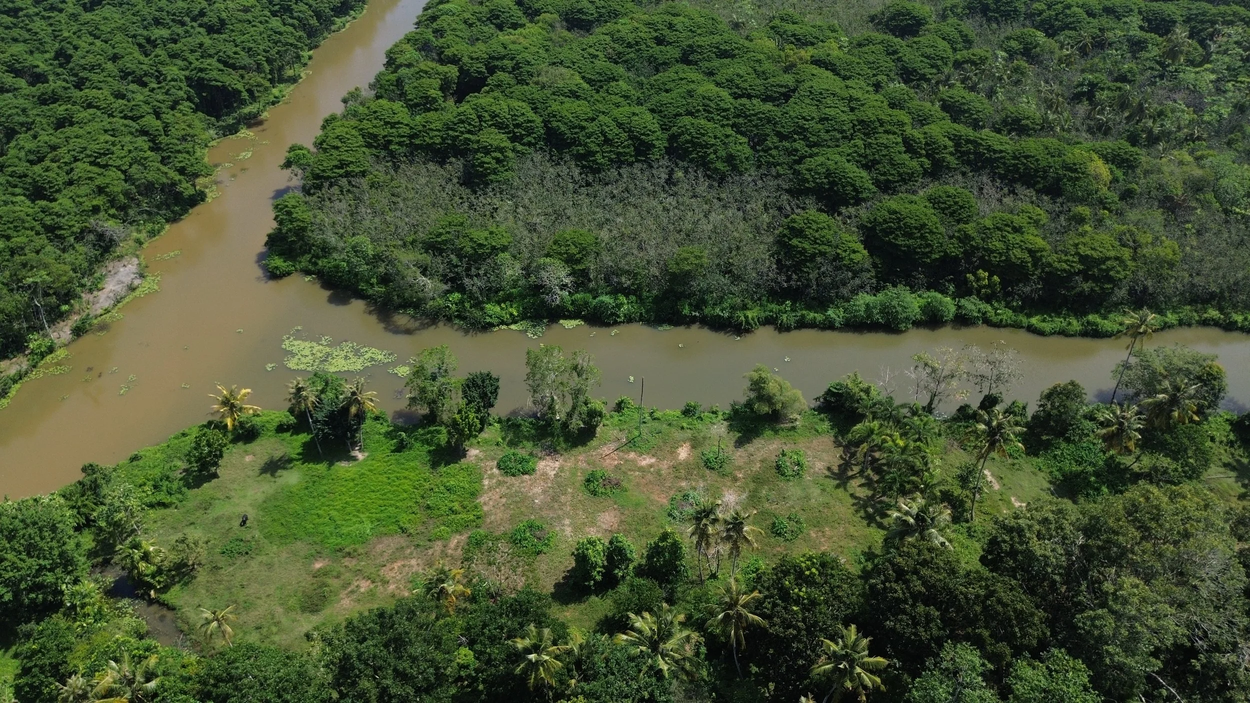 DJI_0462.JPG