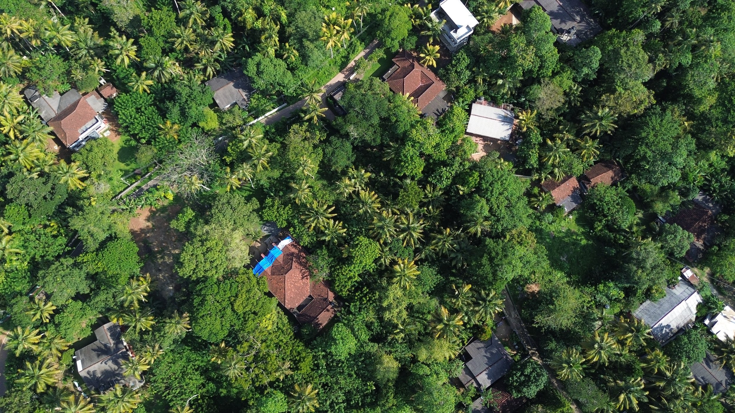 DJI_0407.JPG