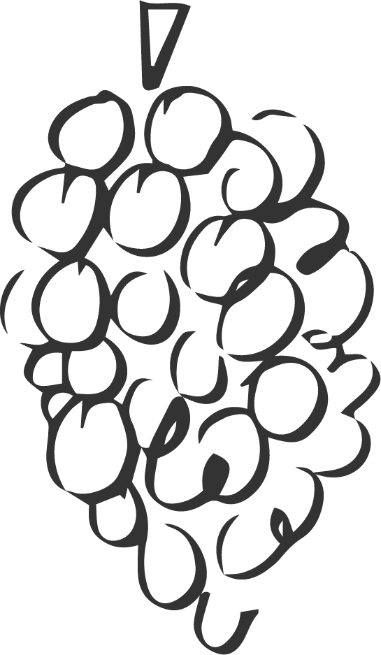 grapes illustration