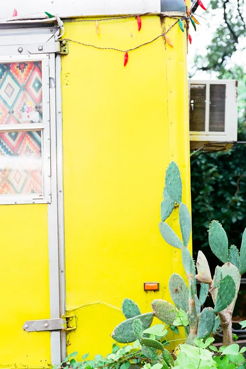 Film Photographer Amber Snow-2.jpg