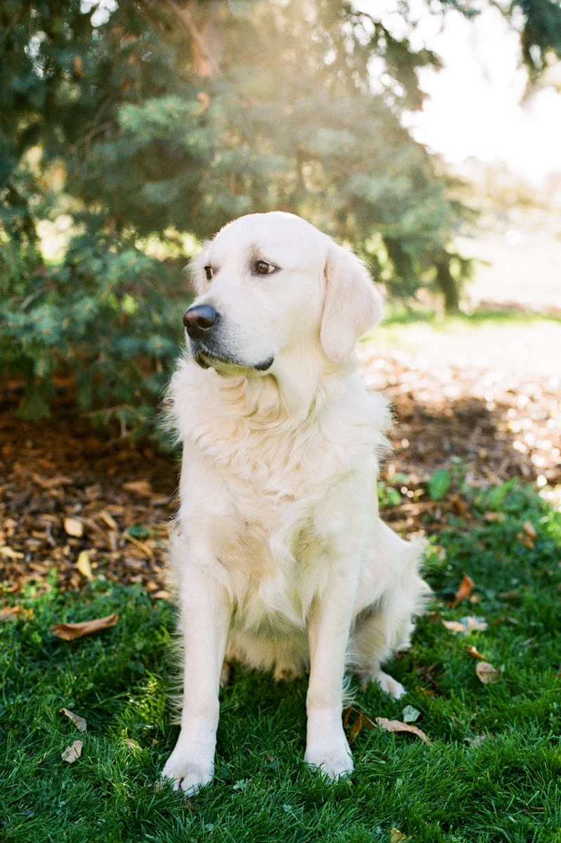 Denver Family Film Photographer-24.jpg