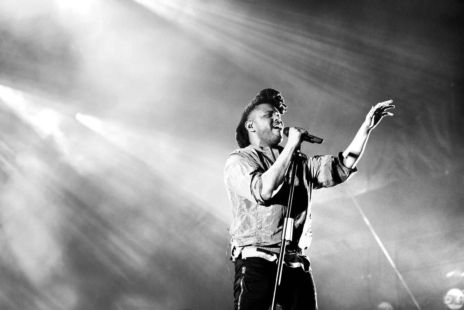 The Weeknd performs at the 2016 Hangout Music Festival