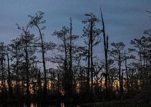 atchafalaya-01-1024x683 222.jpg