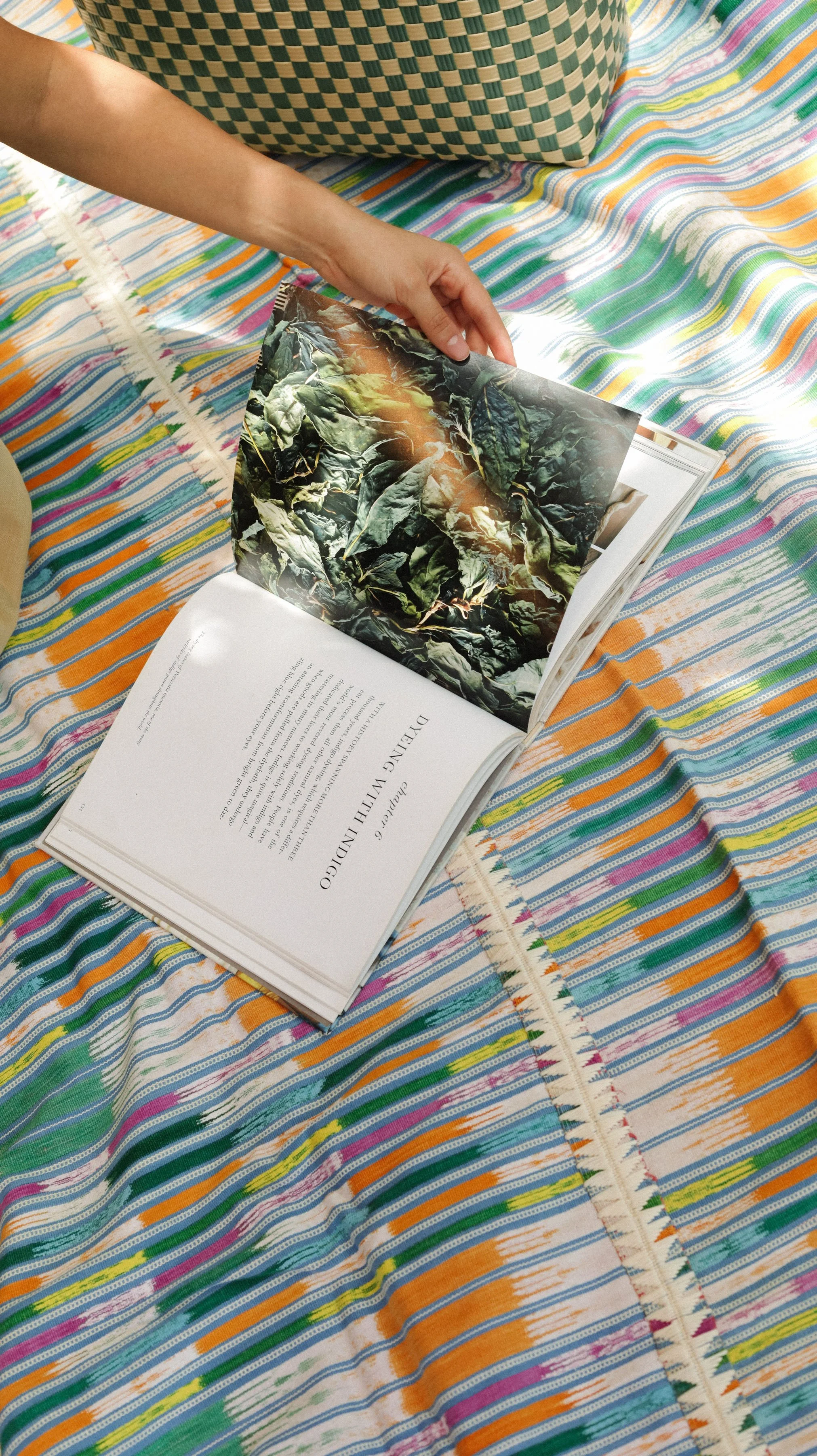Blanket 03 (3).jpg