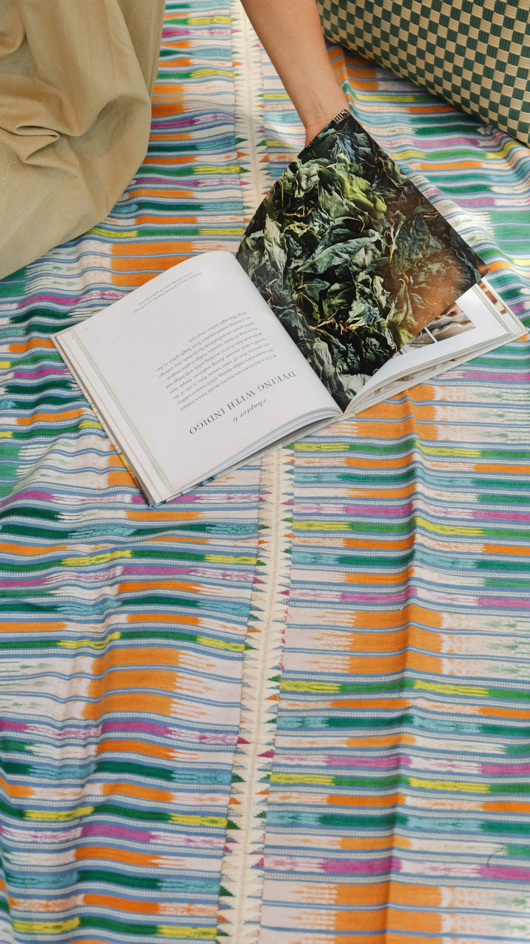 Blanket 03 (2).jpg