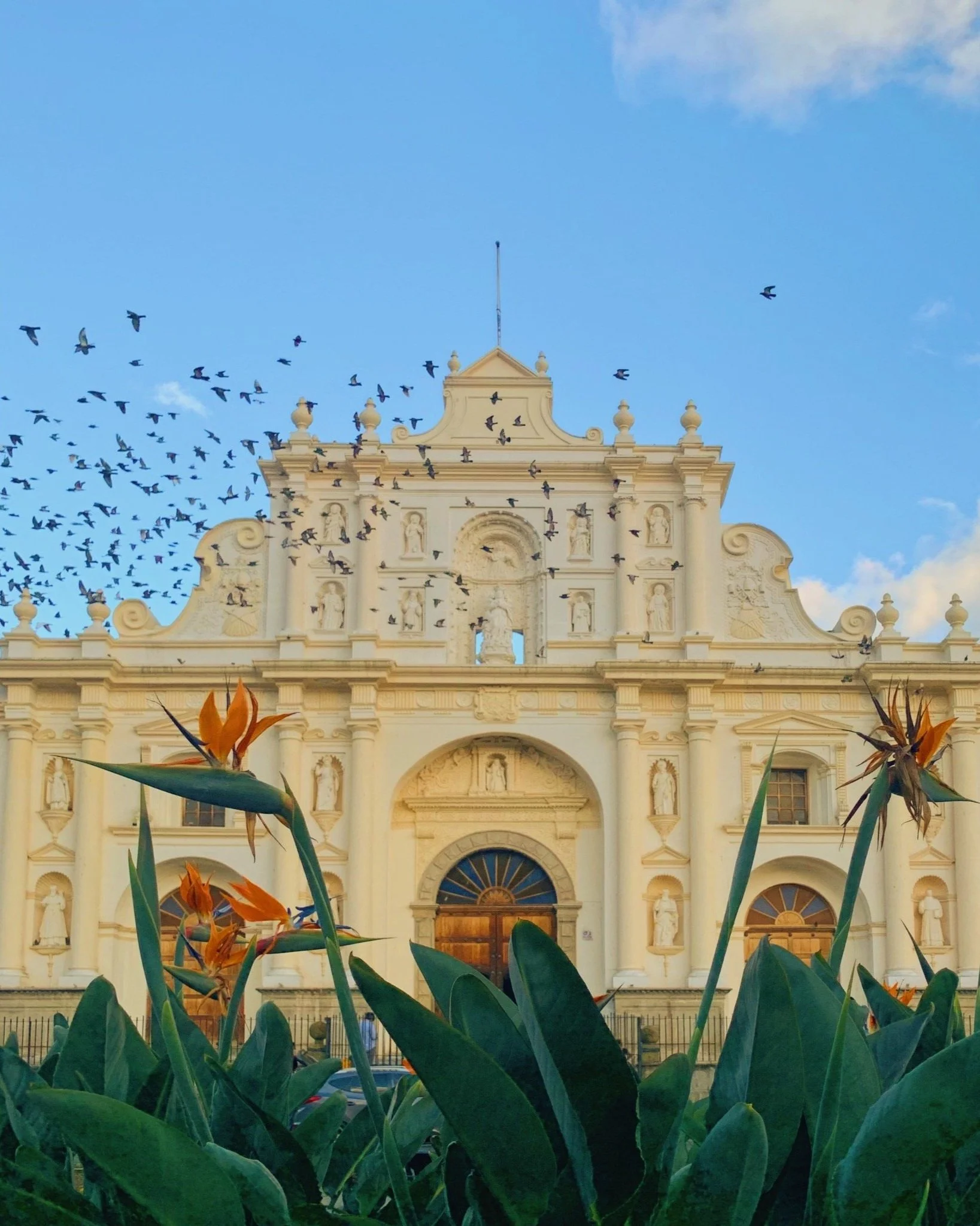 JOIN OUR CURATED TRIPS — Luna Zorro