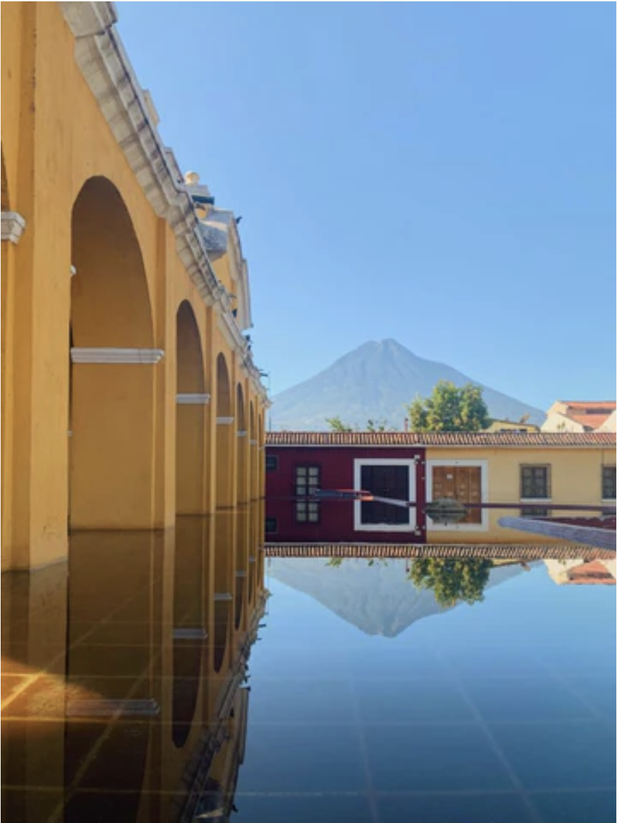 Luna Zorro x El Camino Travel — Luna Zorro