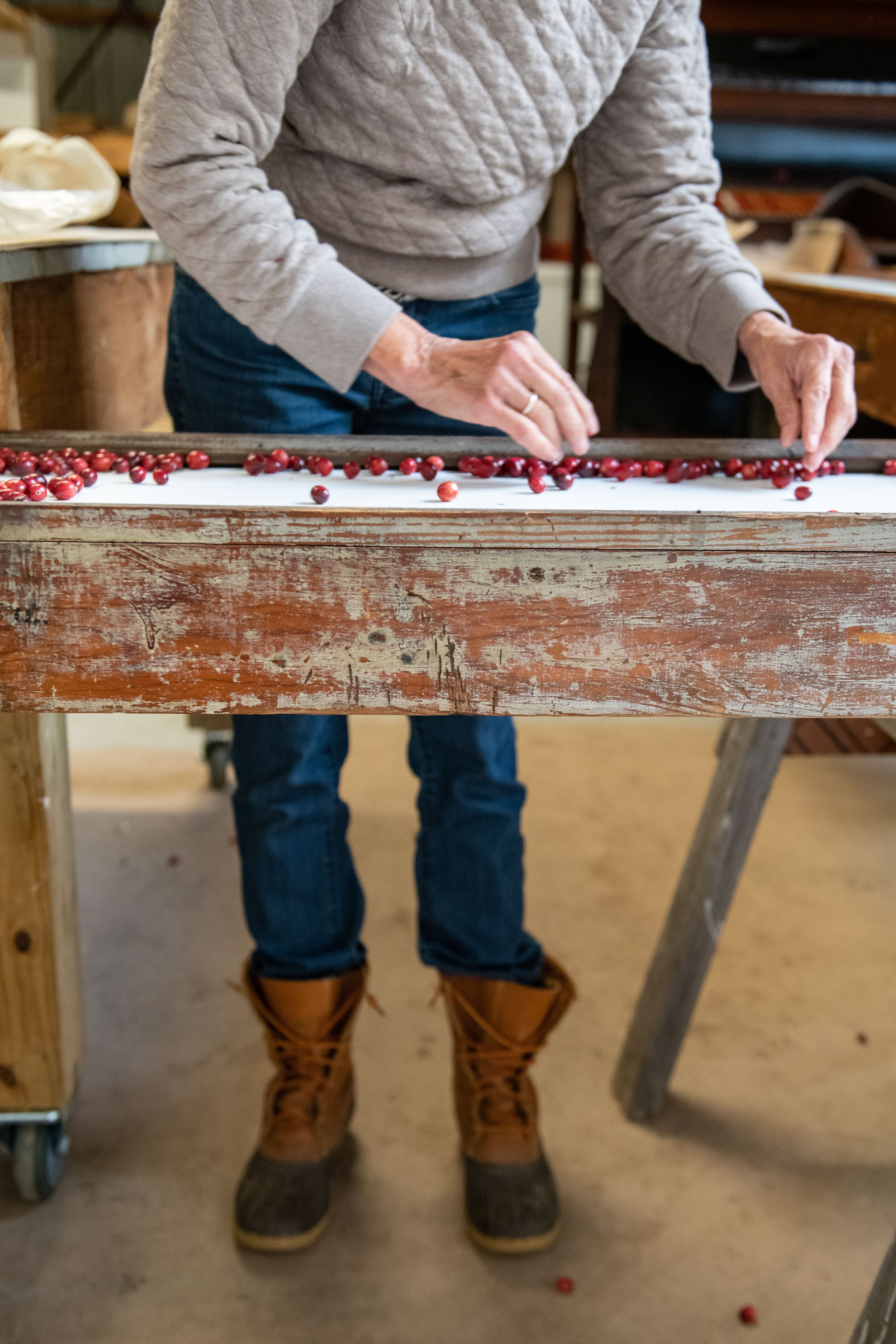 Maine Cranberry Farm-116.jpg