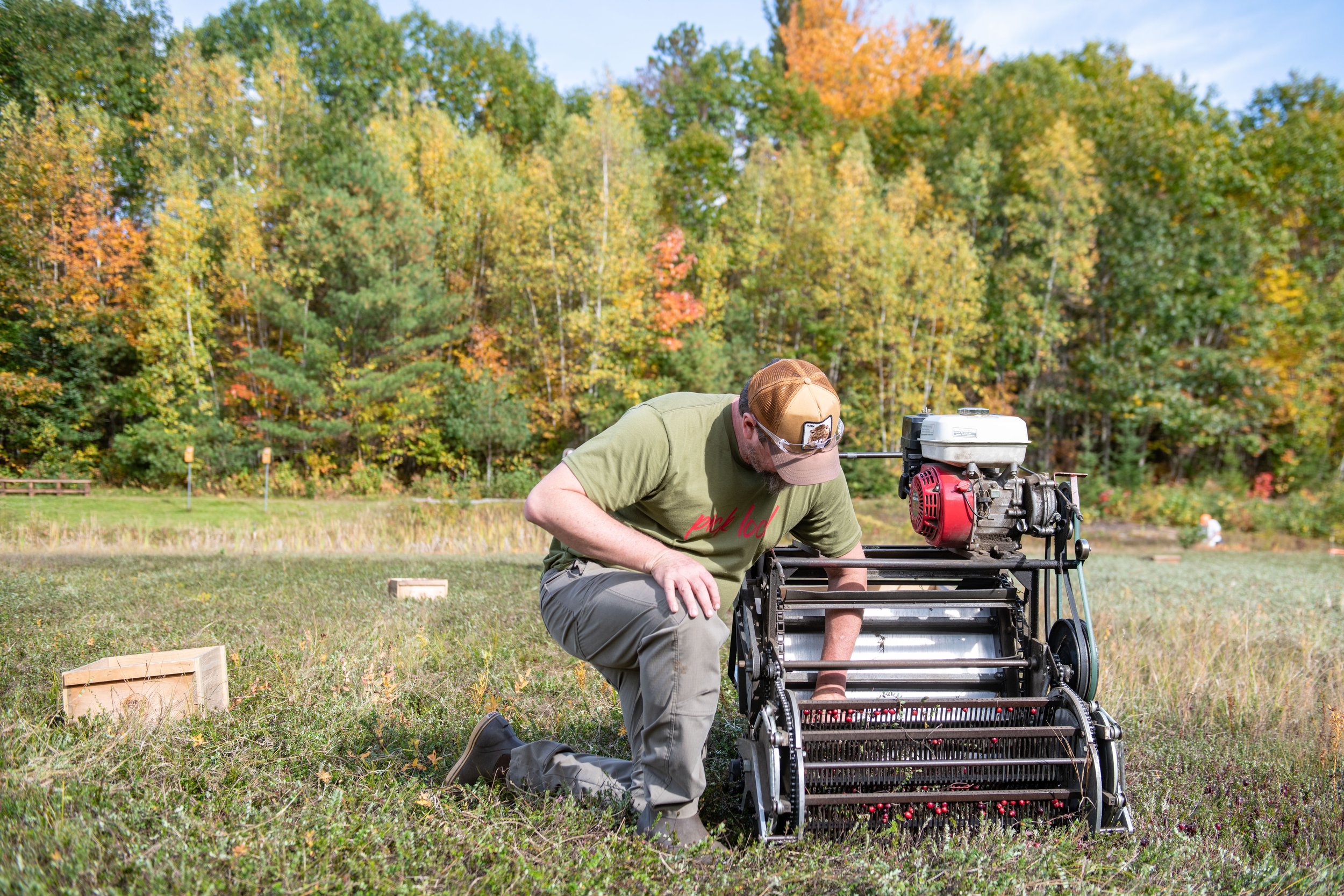 Maine Cranberry Farm-103.jpg