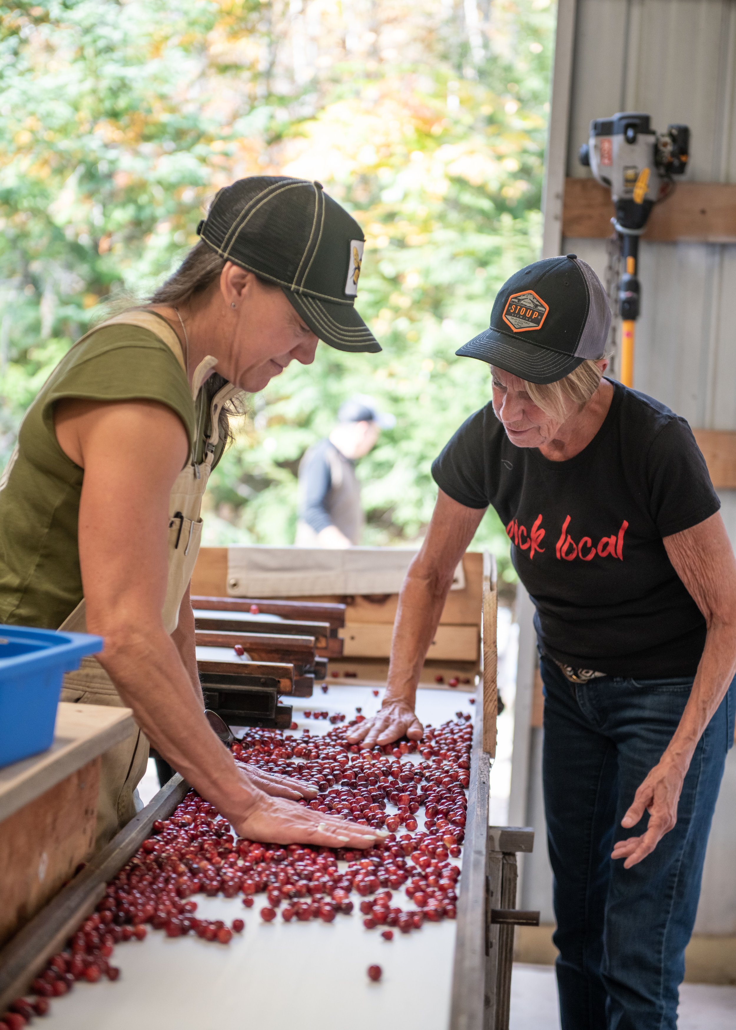 Maine Cranberry Farm-100-2.jpg