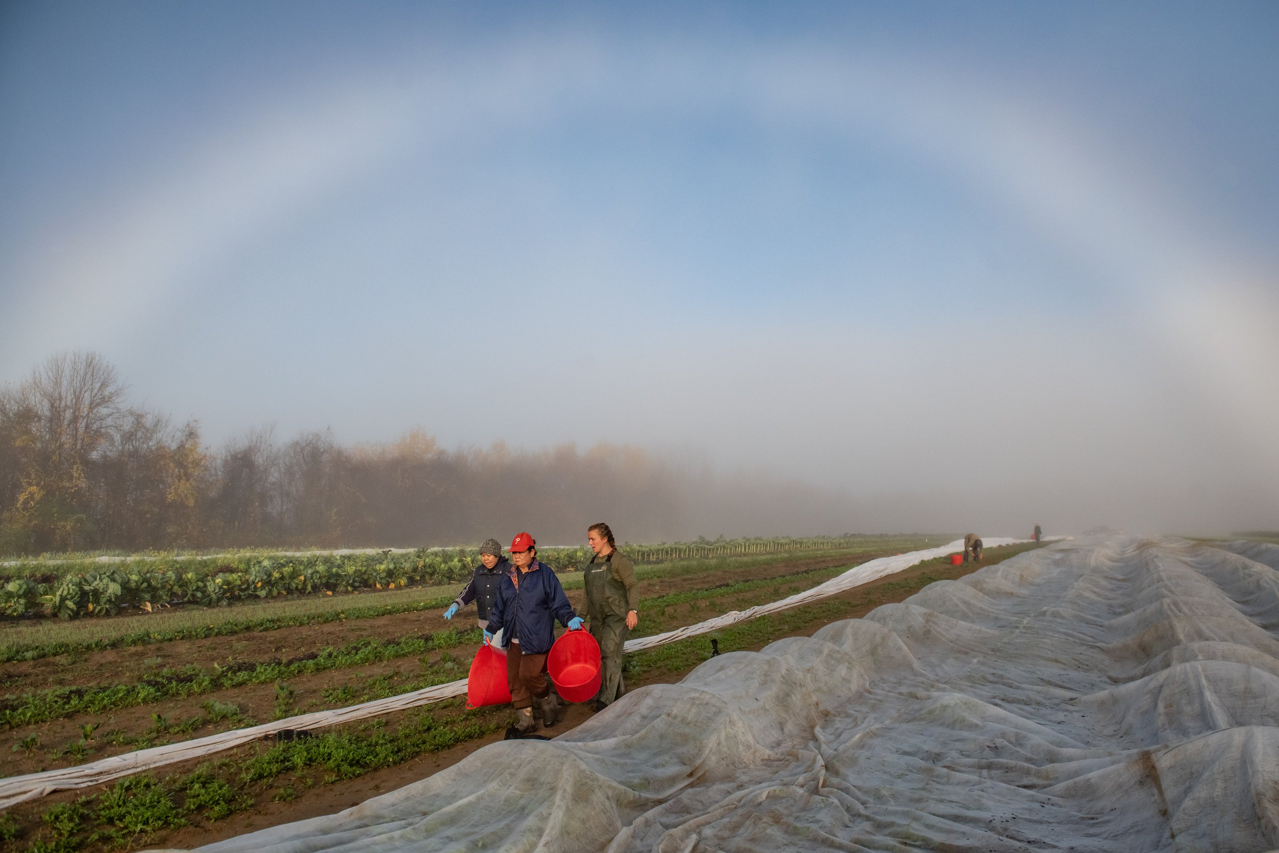 goranson farm kelsey kobik-135.jpg