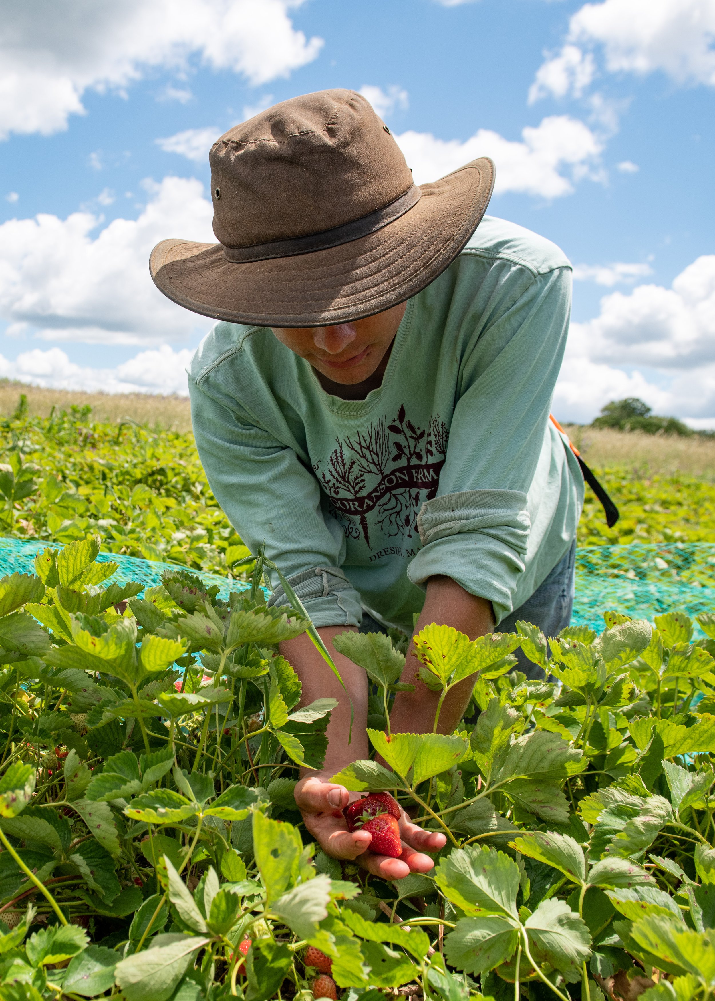 goranson farm kelsey kobik-108.jpg