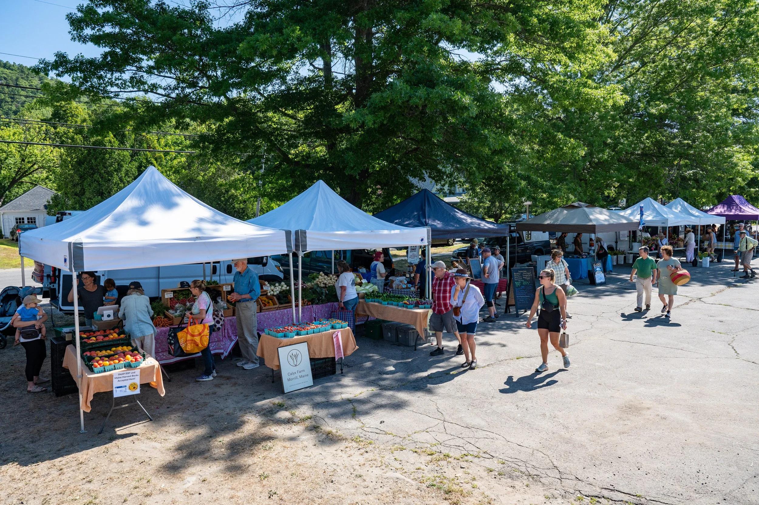 Camden, Maine Farmers’ Market