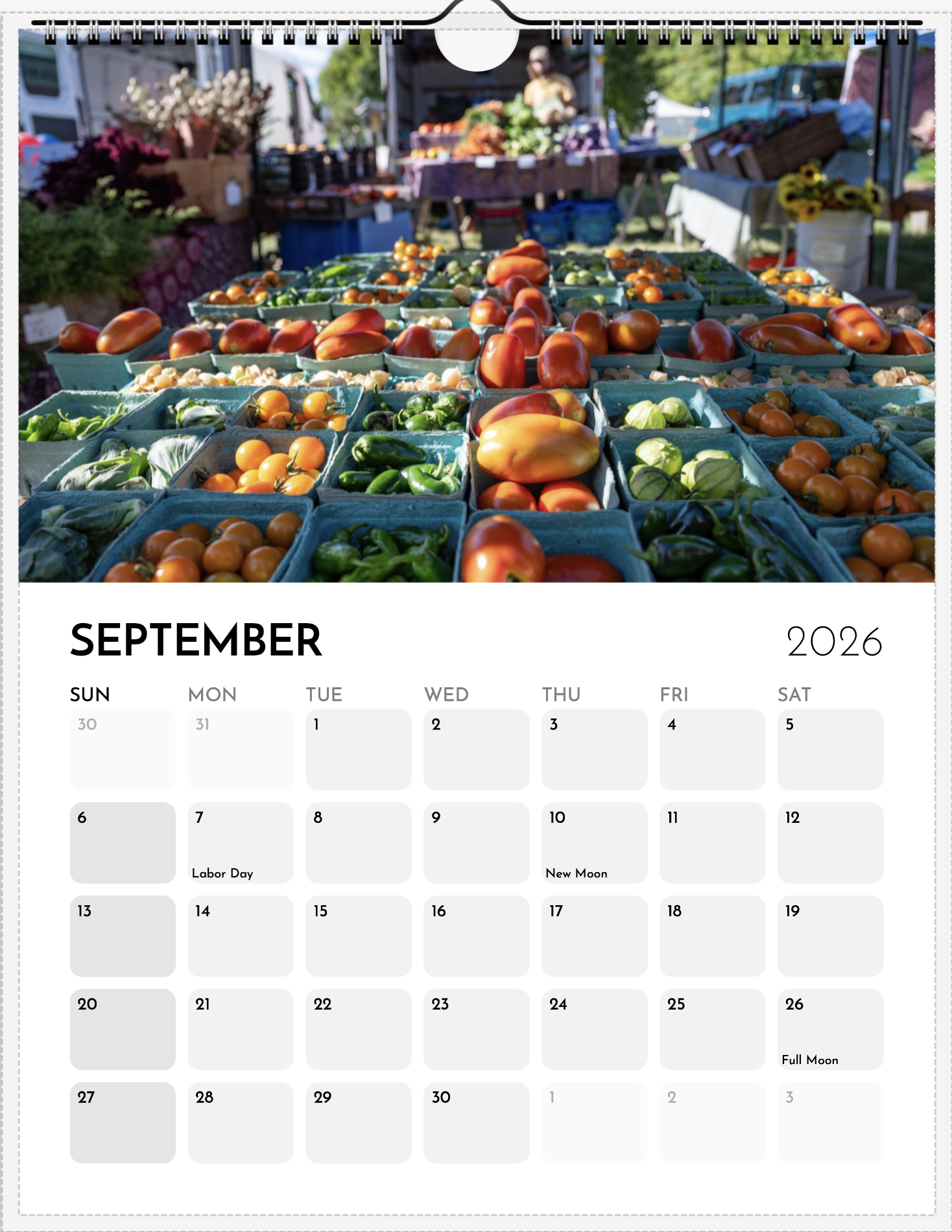 Screen Shot 2025-11-26 at 10.07.30 AM.png