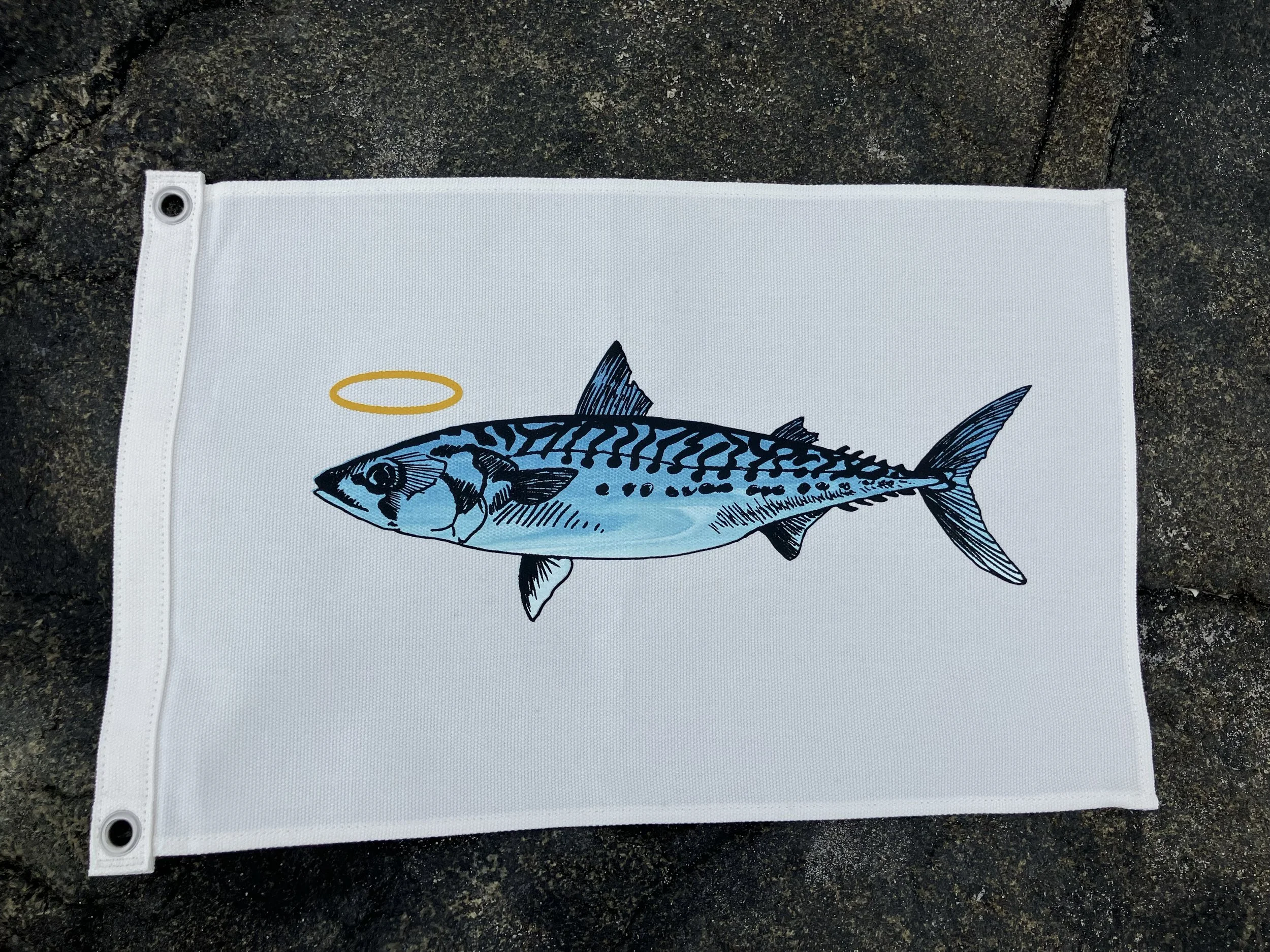 Holy Mackeral on the rocks.jpg