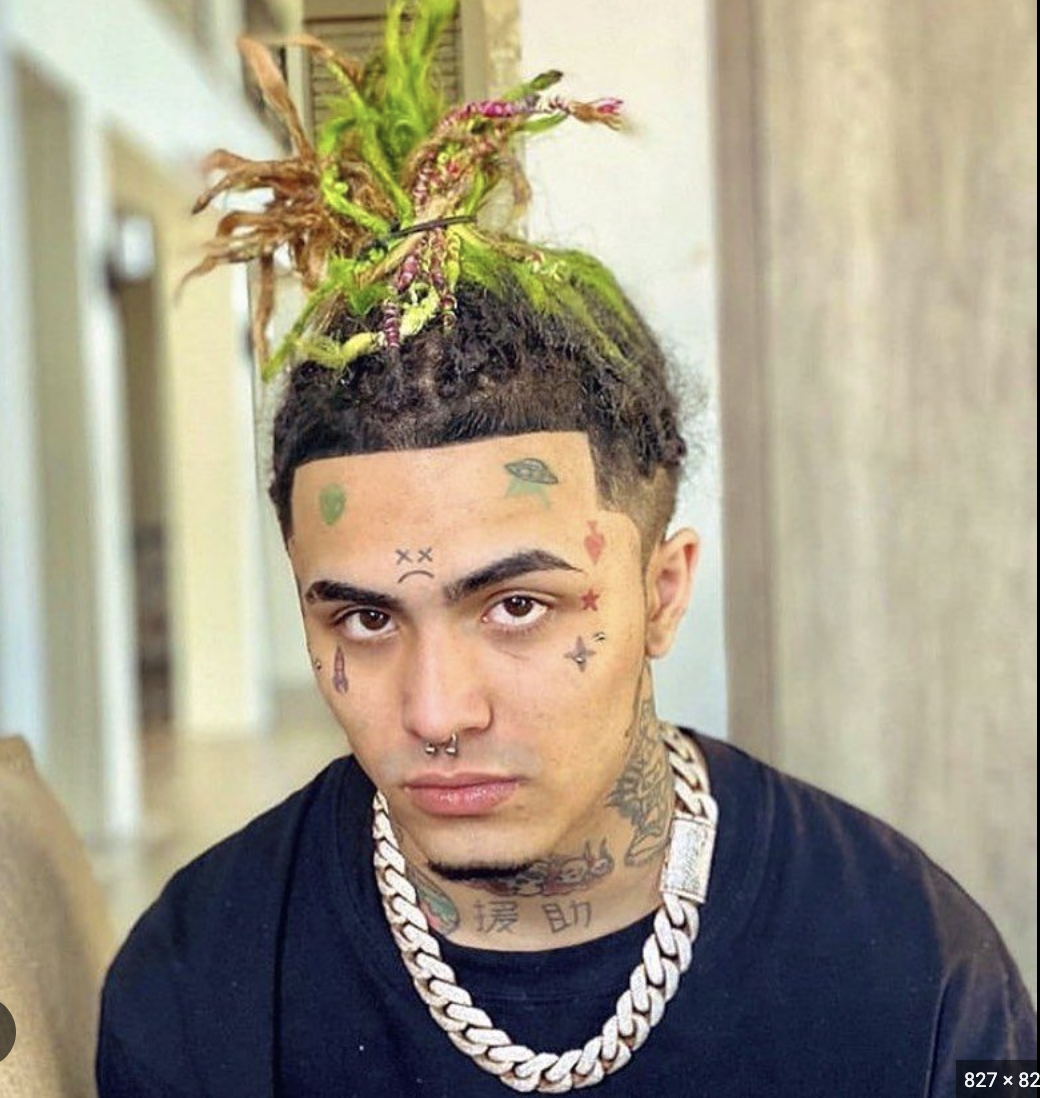 A young man with tattoos on his face and neck, wearing a thick silver chain necklace, and a hairstyle with dreadlocks and plants growing from the top of his head.